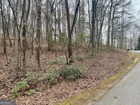 0 Willows Drive Cleveland GA 30528