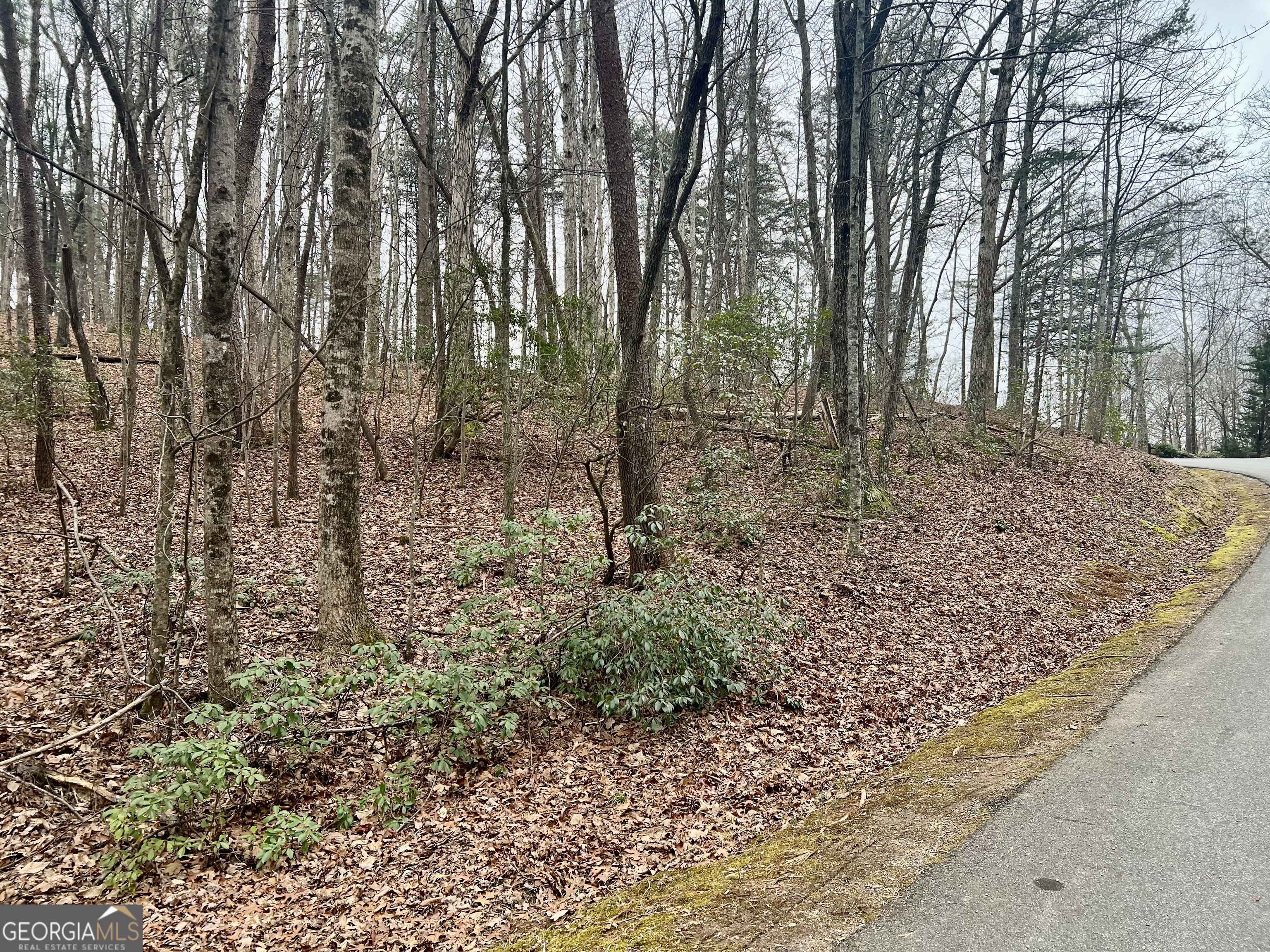 0 Willows Drive Cleveland GA 30528