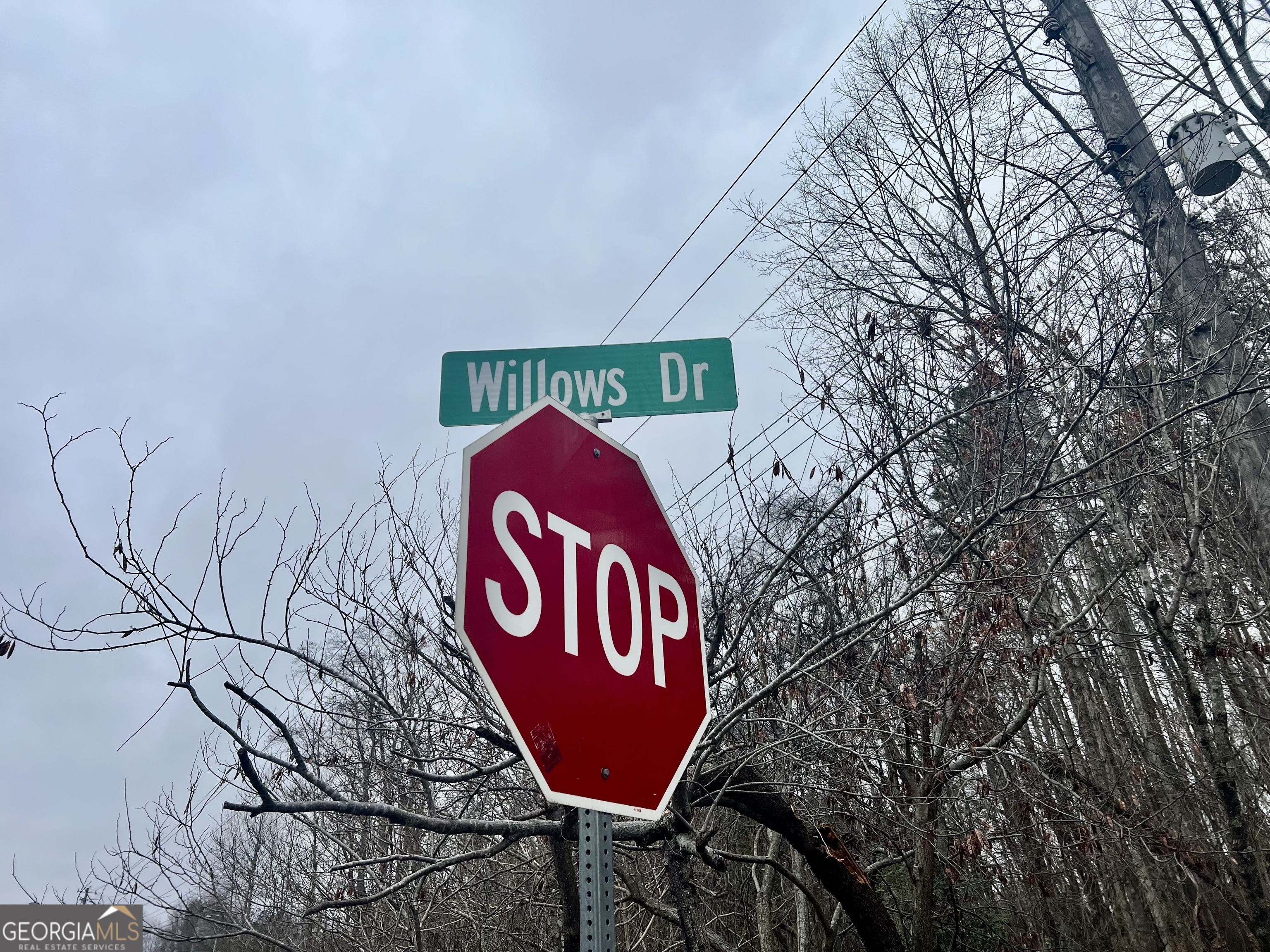 0 Willows Drive Cleveland GA 30528