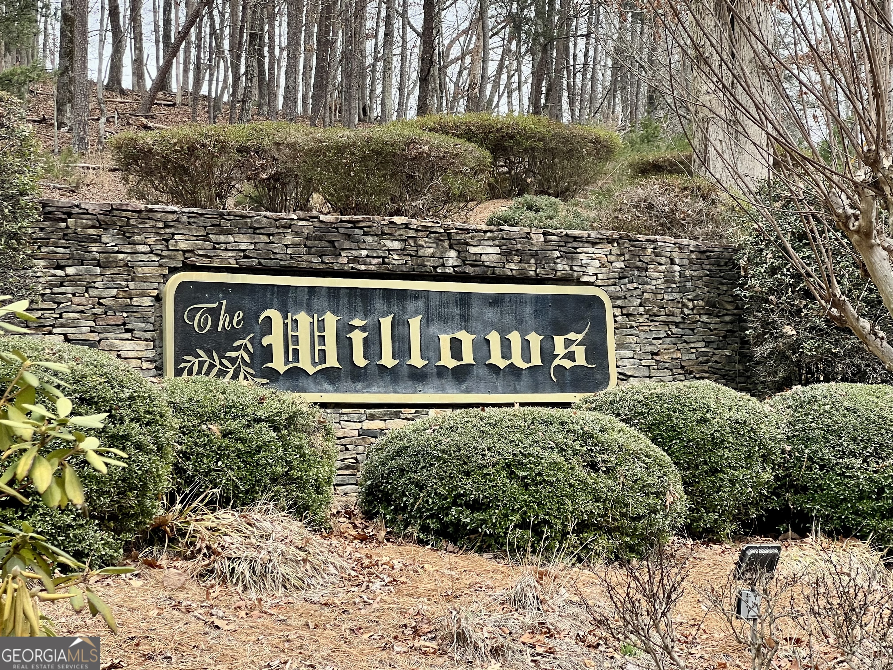0 Willows Drive Cleveland GA 30528
