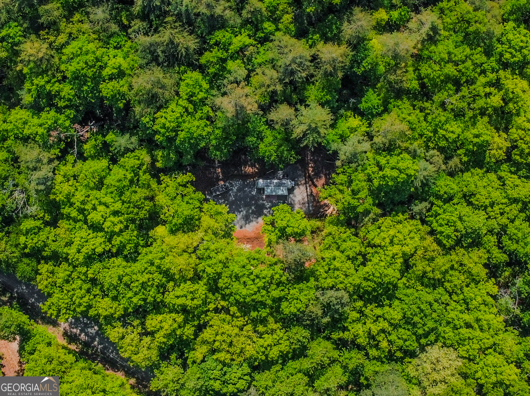 1472 Nugget Lane Ellijay GA 30540