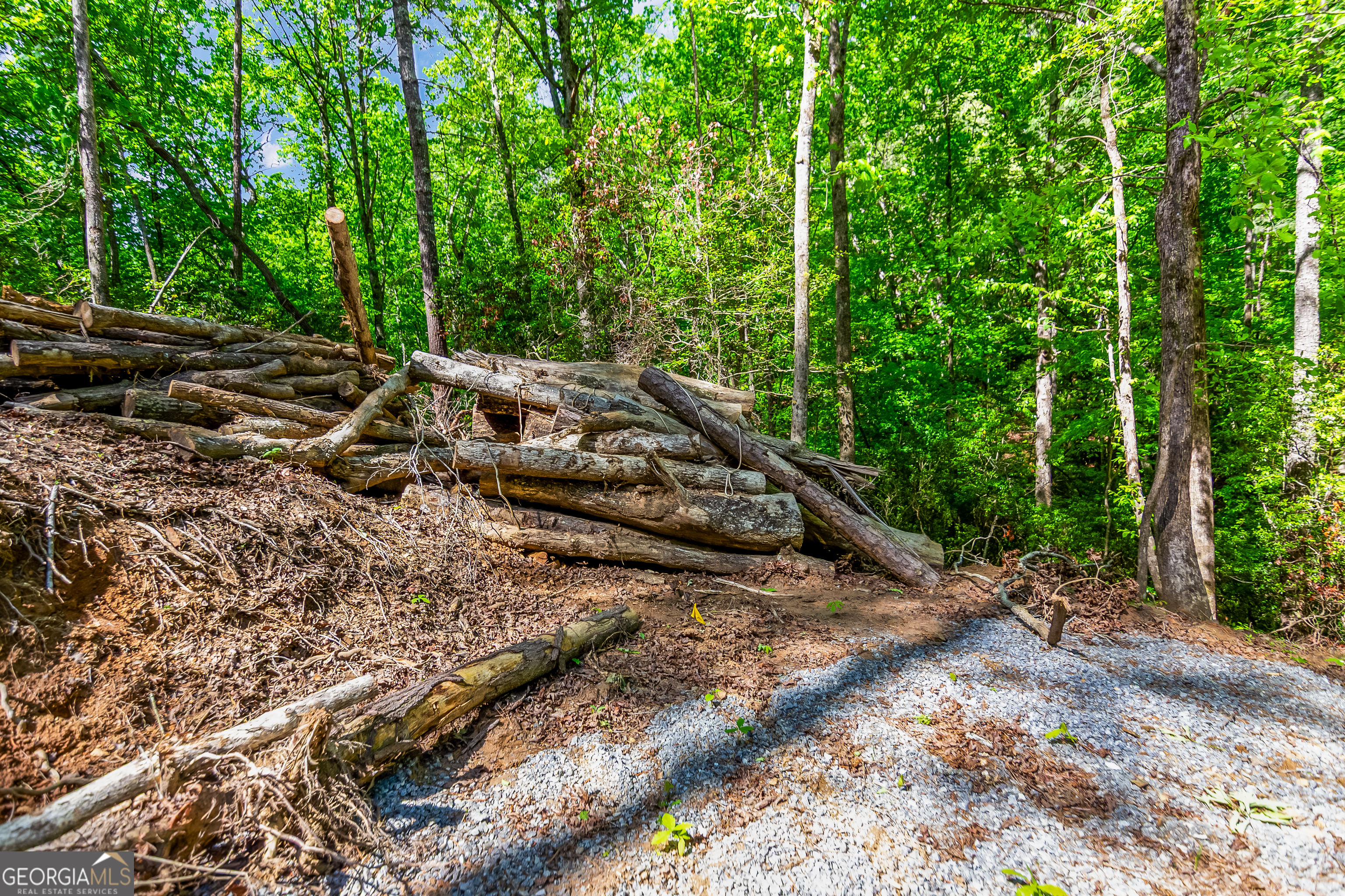 1472 Nugget Lane Ellijay GA 30540