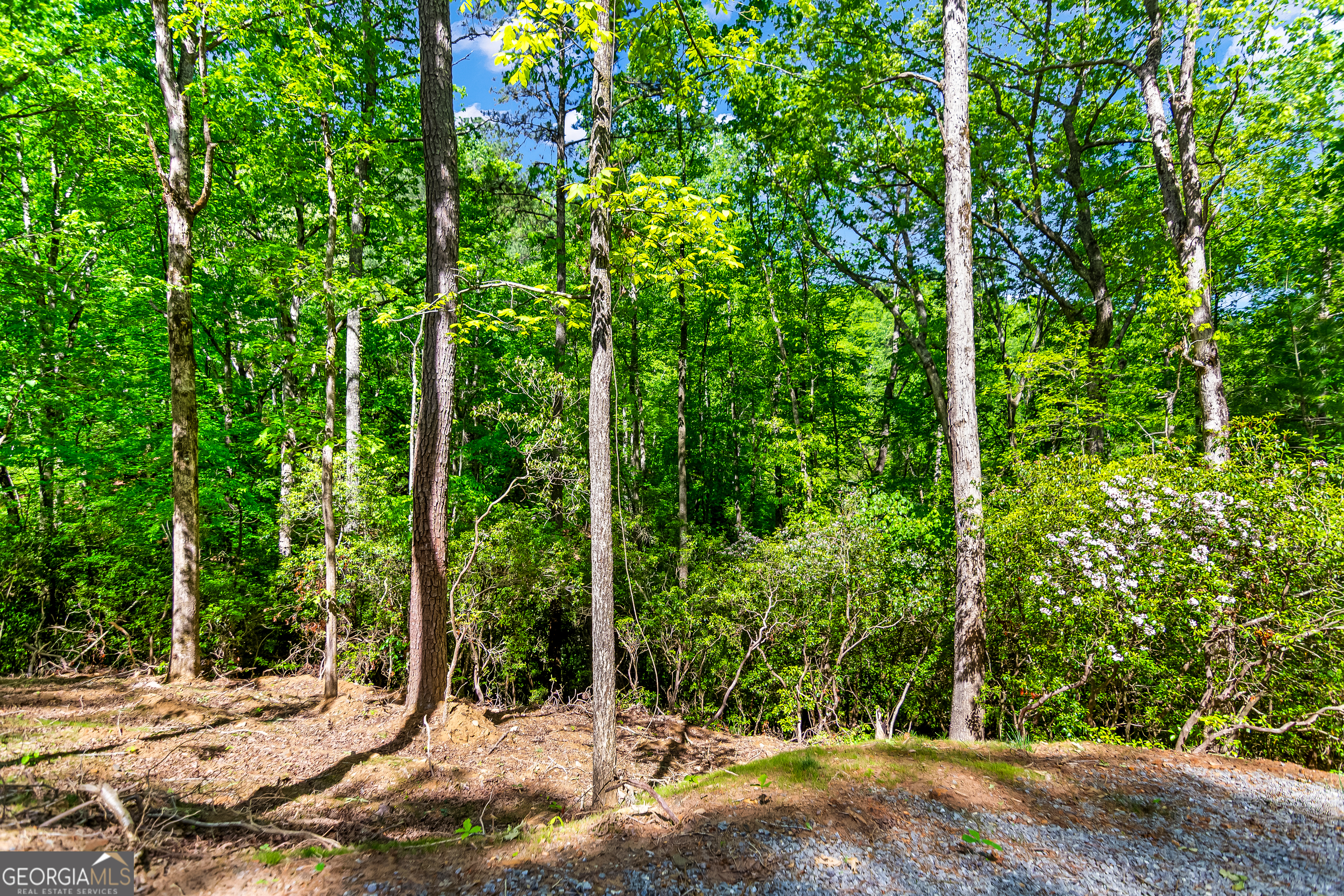 1472 Nugget Lane Ellijay GA 30540