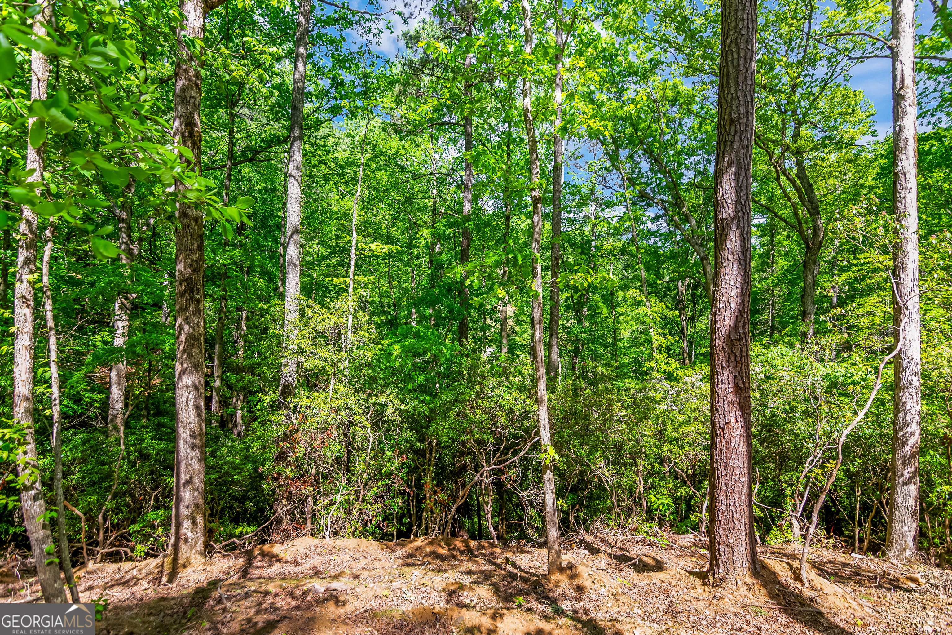 1472 Nugget Lane Ellijay GA 30540