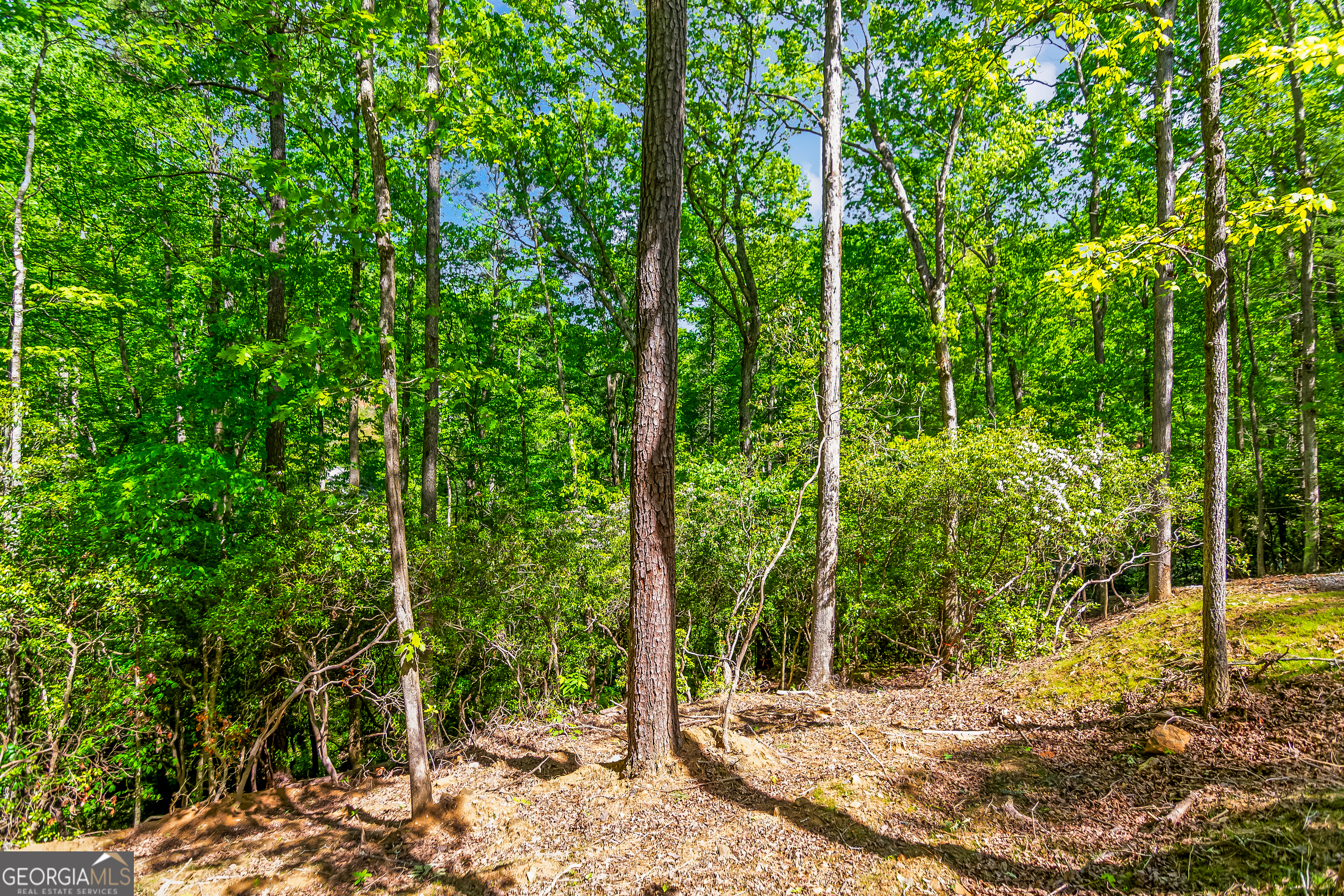 1472 Nugget Lane Ellijay GA 30540