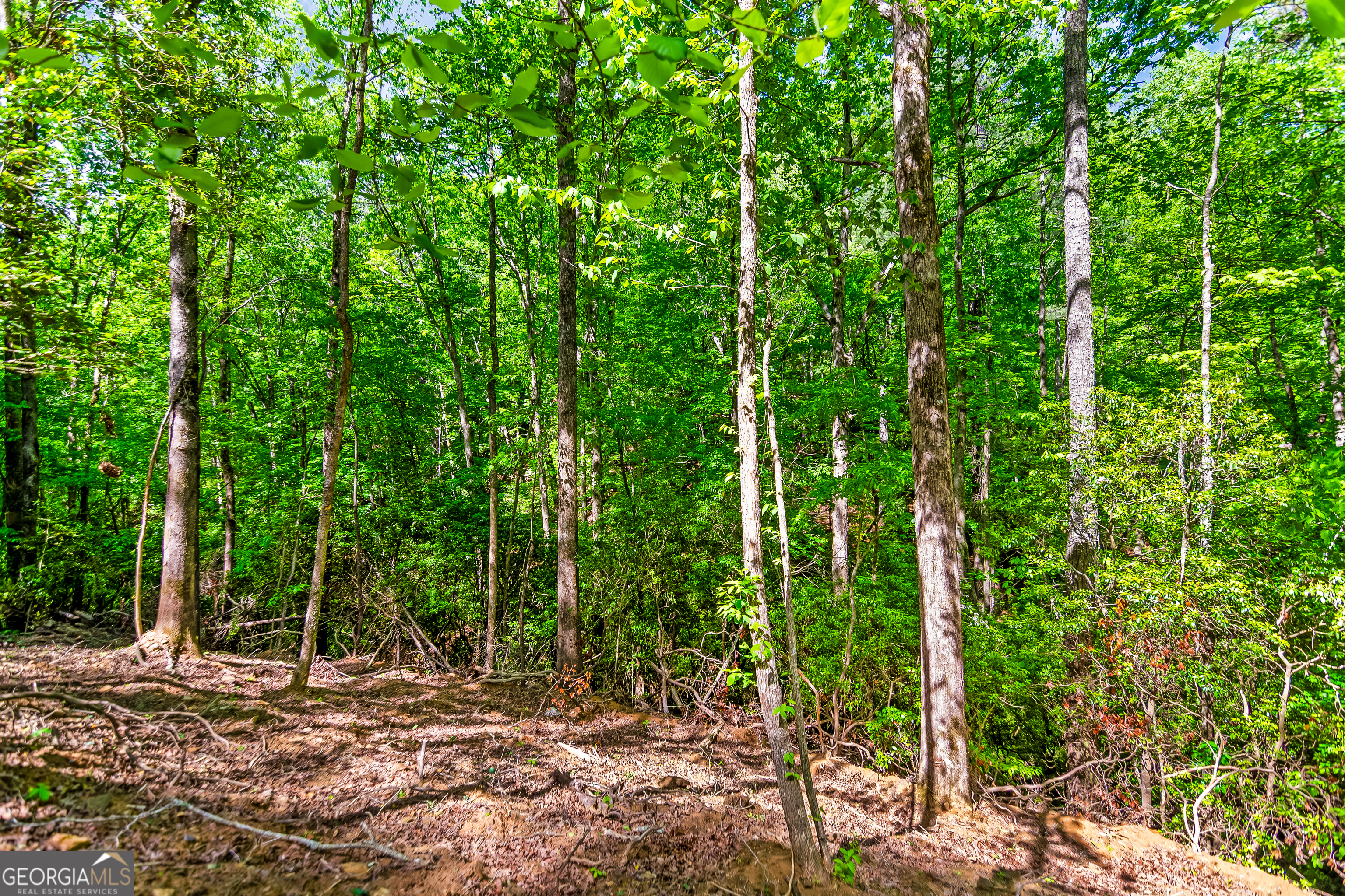 1472 Nugget Lane Ellijay GA 30540