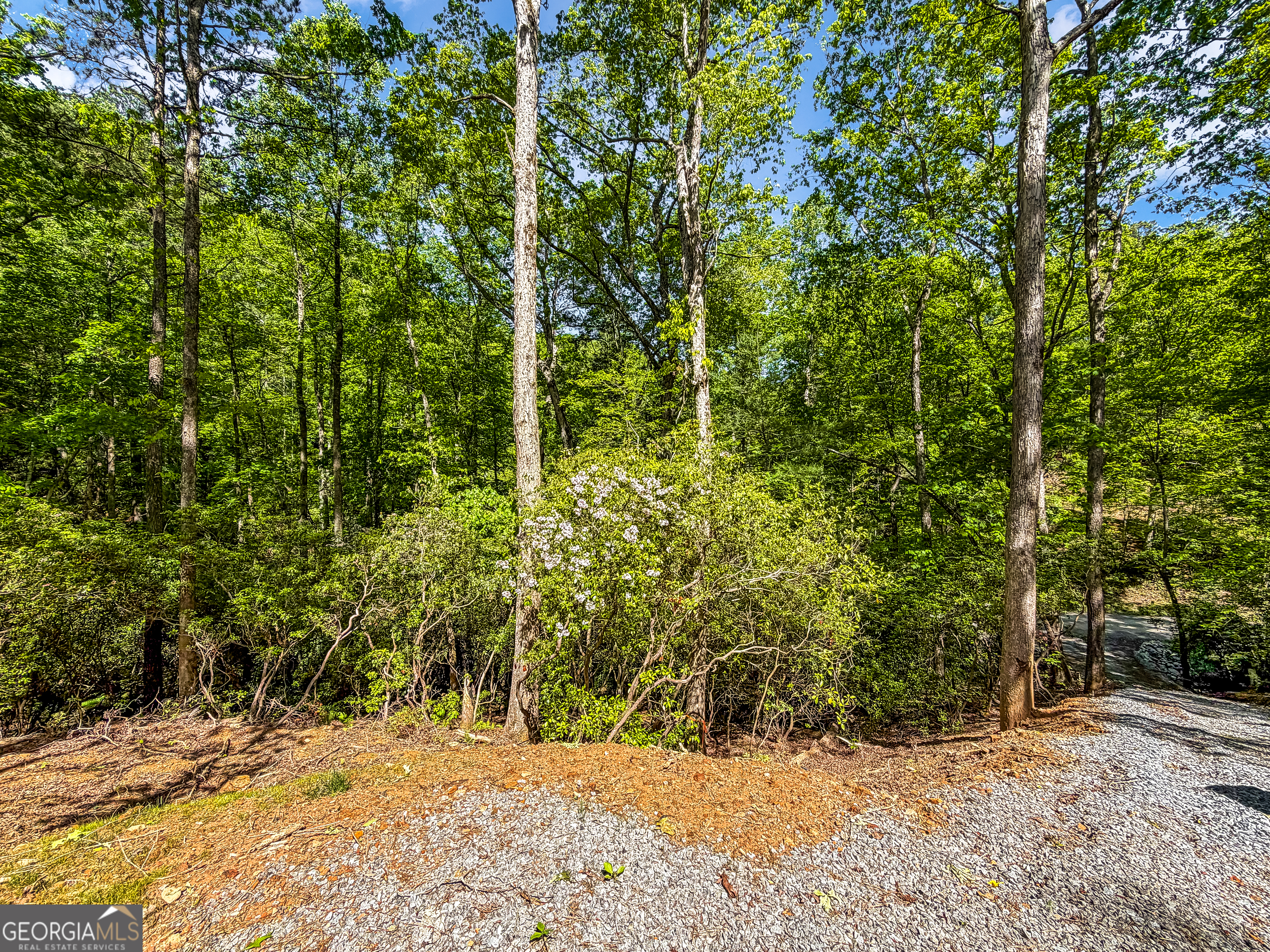 1472 Nugget Lane Ellijay GA 30540