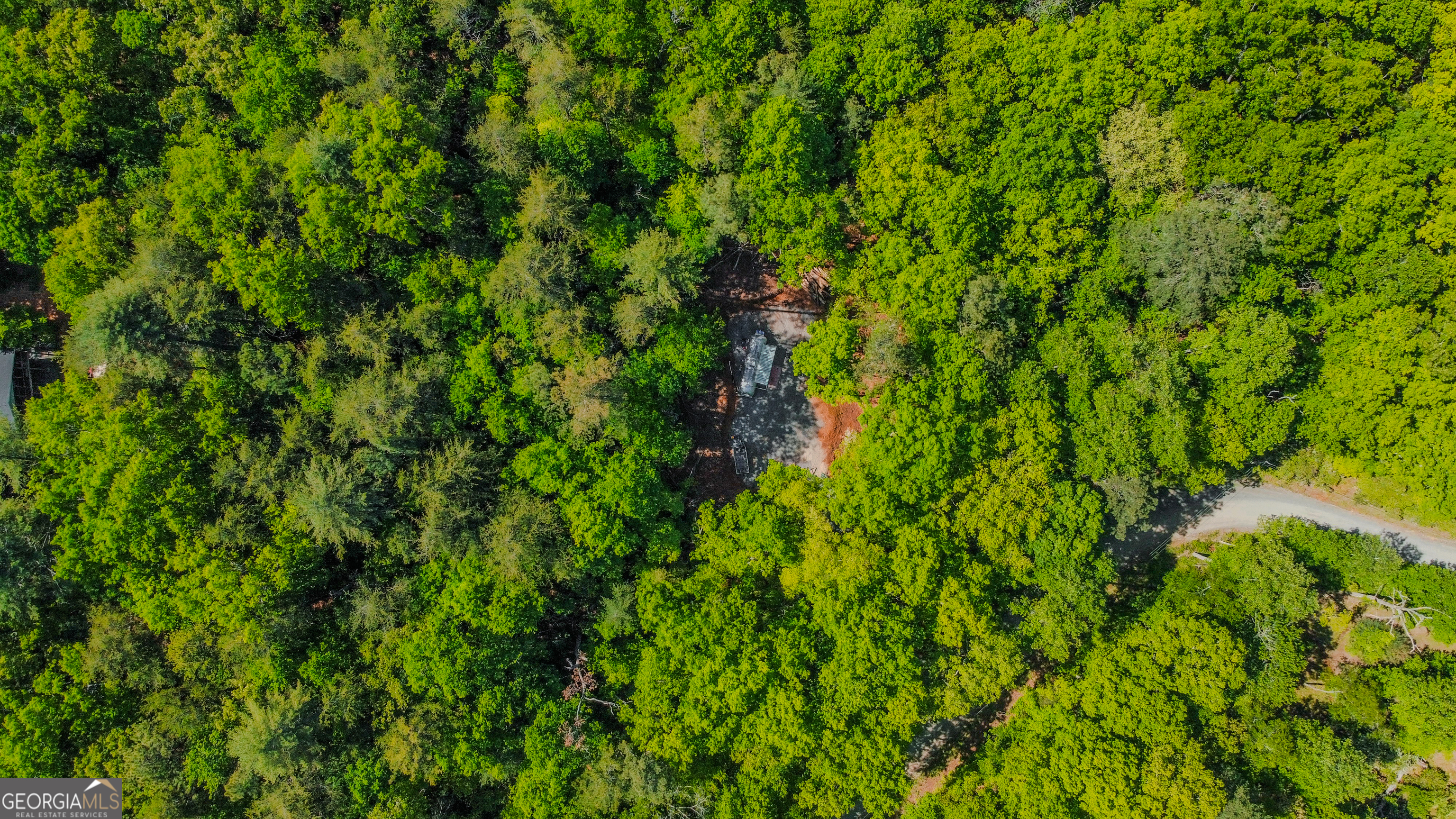 1472 Nugget Lane Ellijay GA 30540