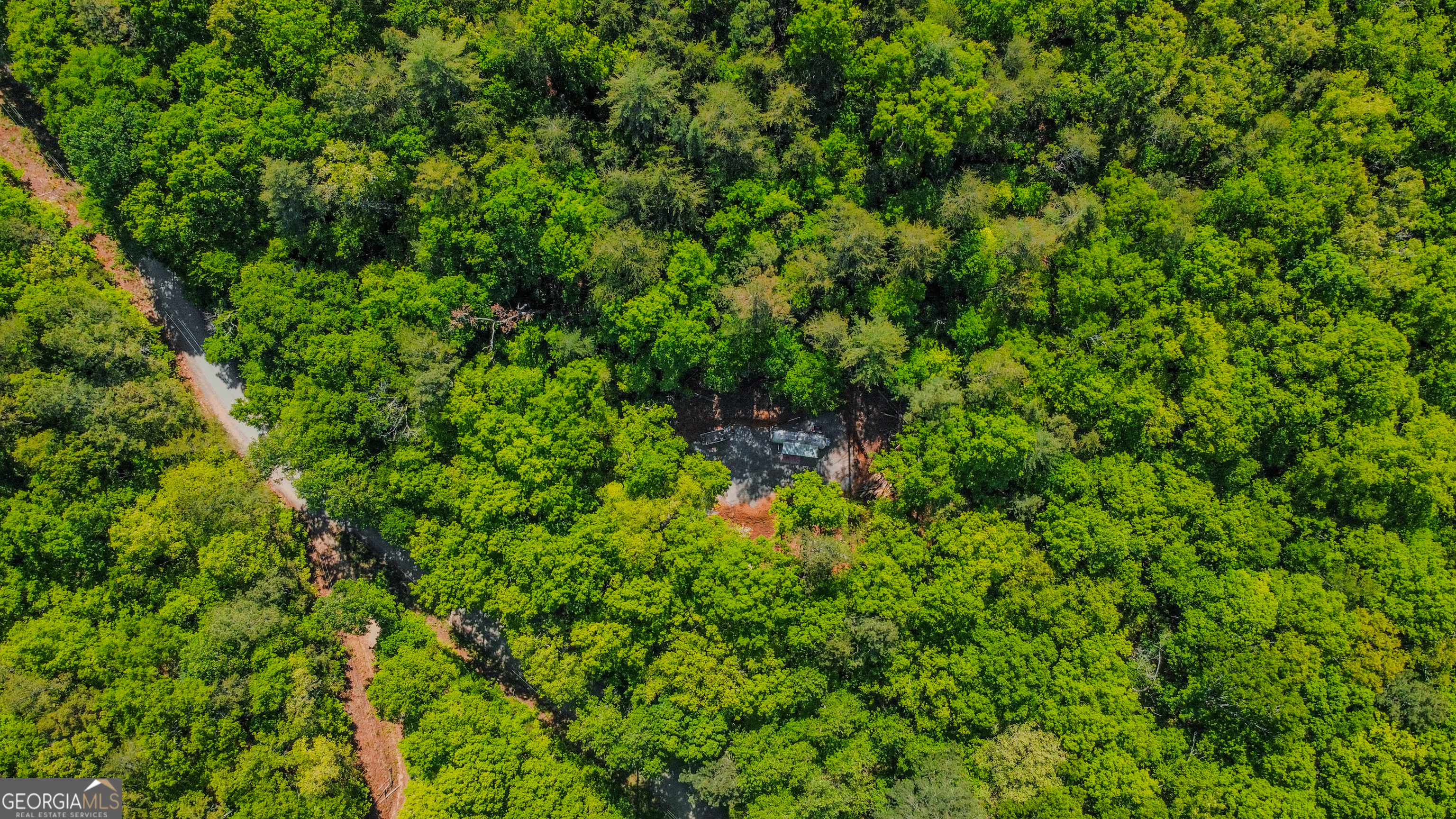 1472 Nugget Lane Ellijay GA 30540