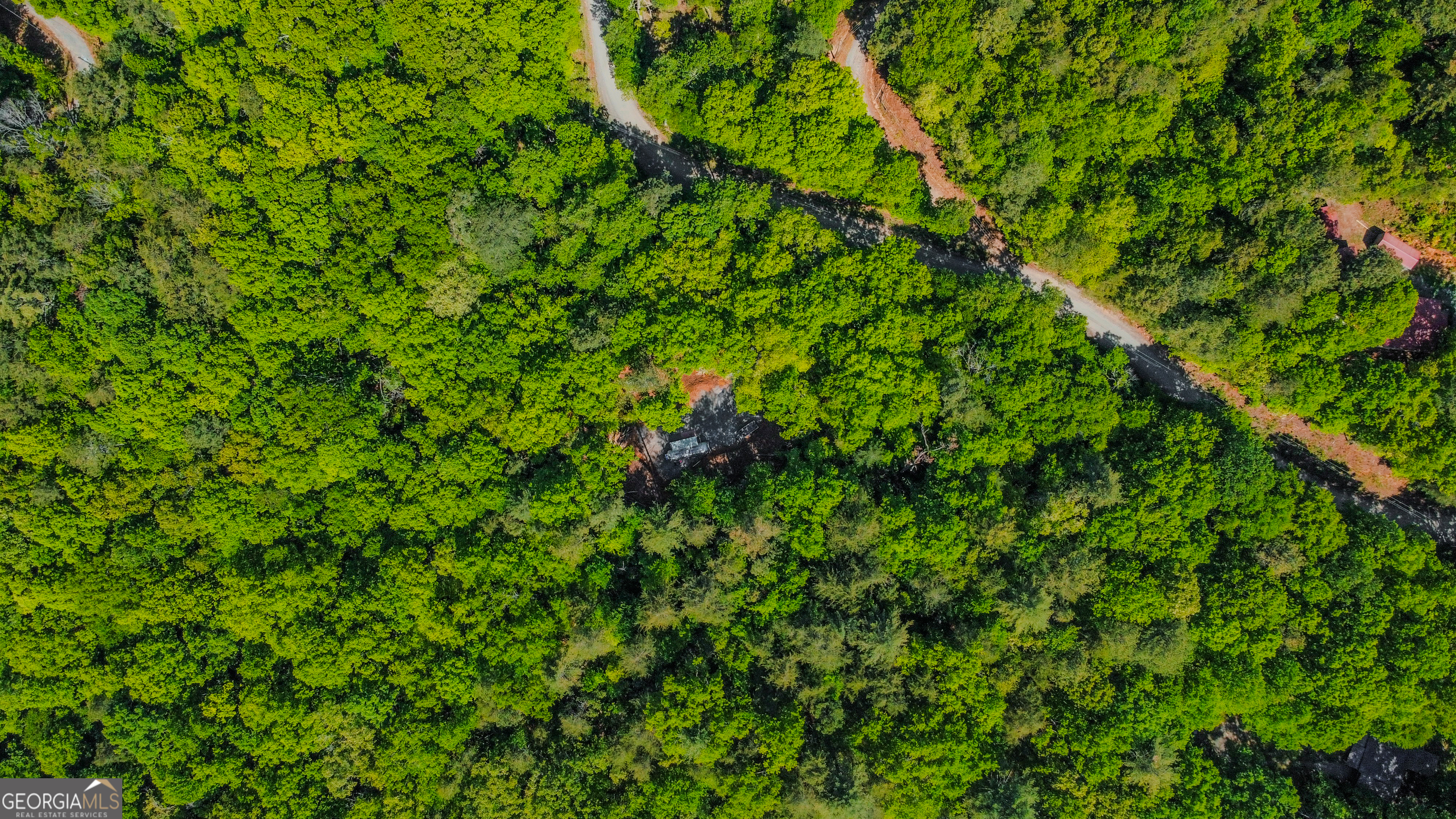 1472 Nugget Lane Ellijay GA 30540