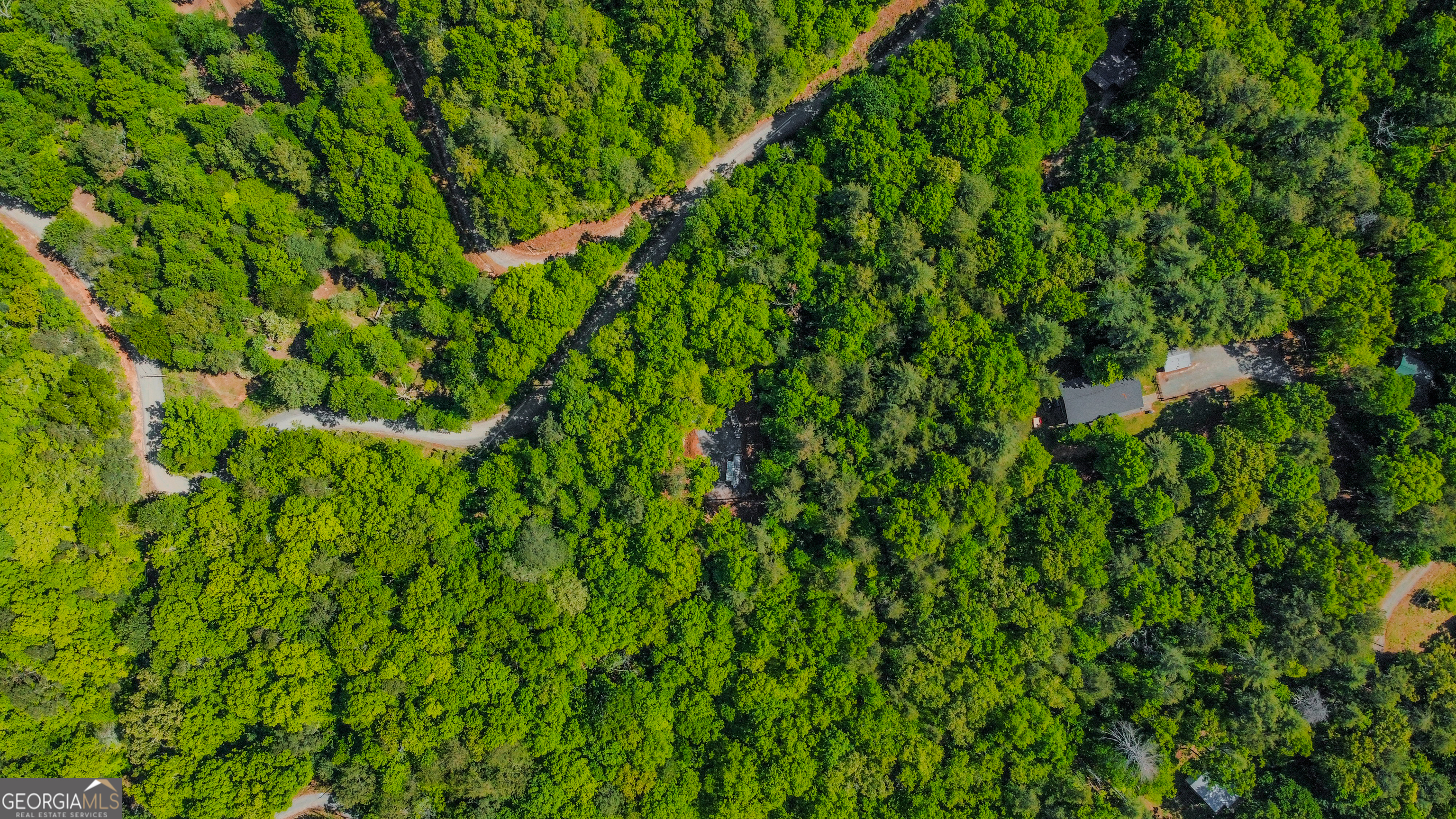 1472 Nugget Lane Ellijay GA 30540