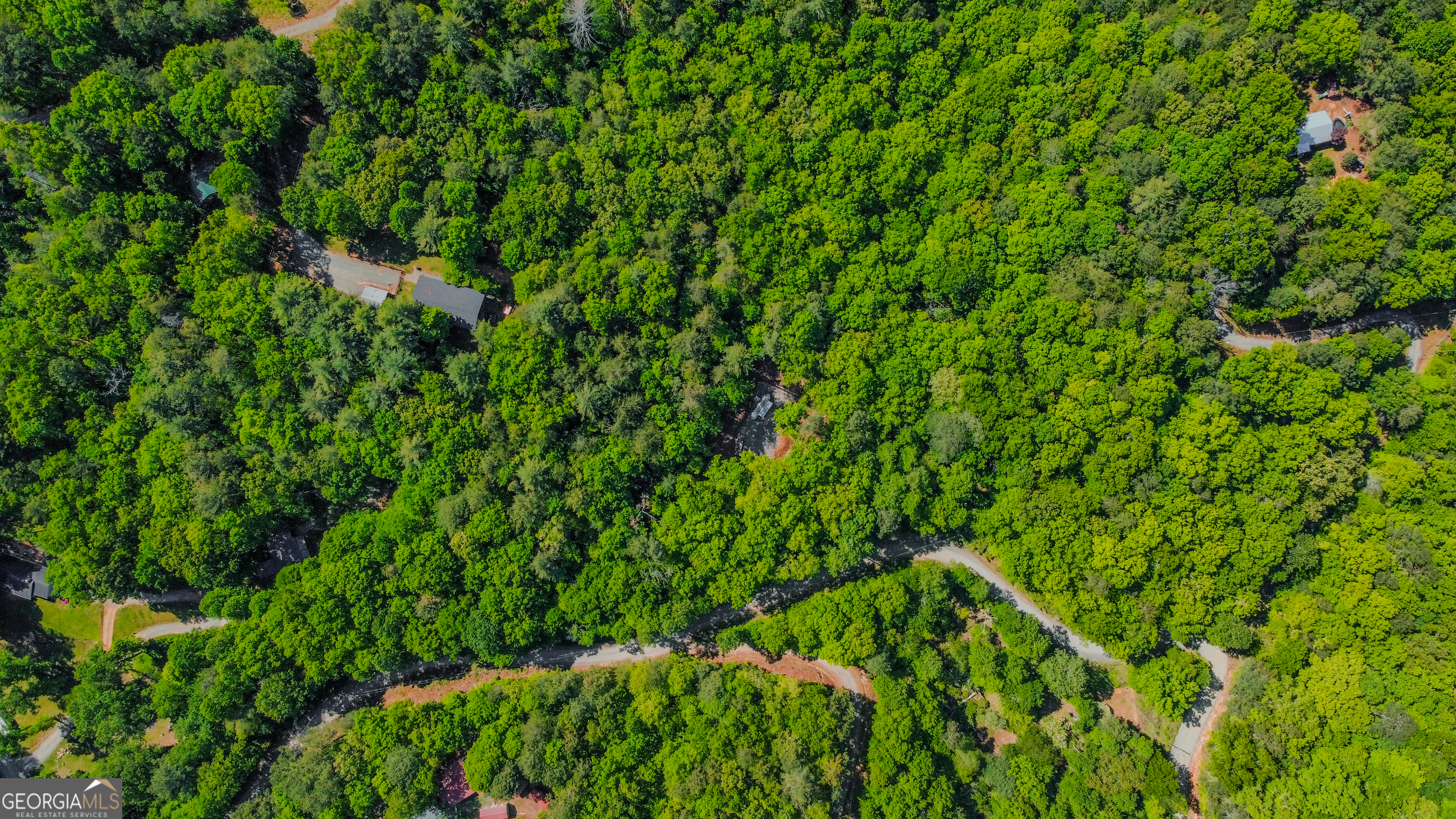 1472 Nugget Lane Ellijay GA 30540