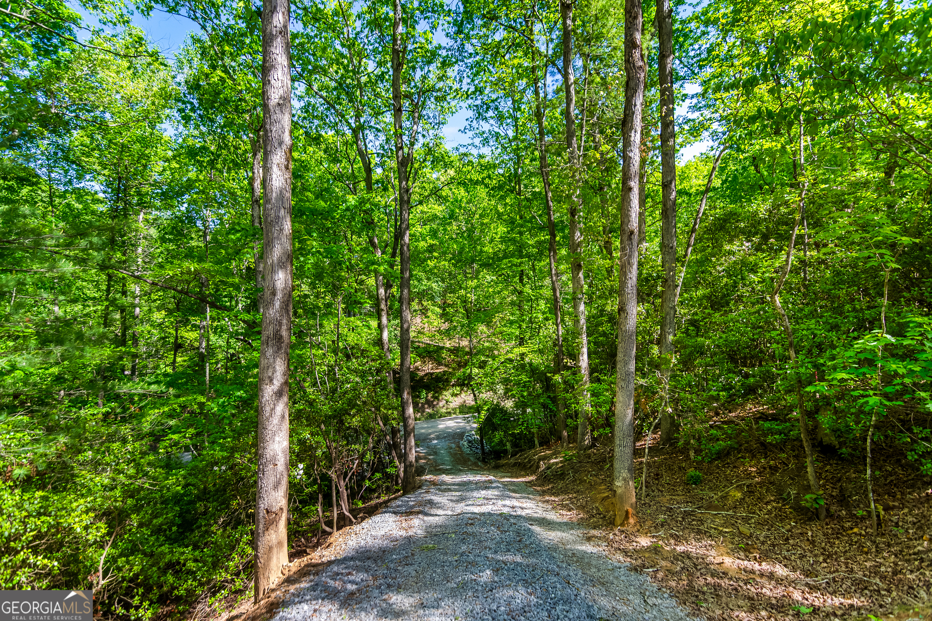 1472 Nugget Lane Ellijay GA 30540