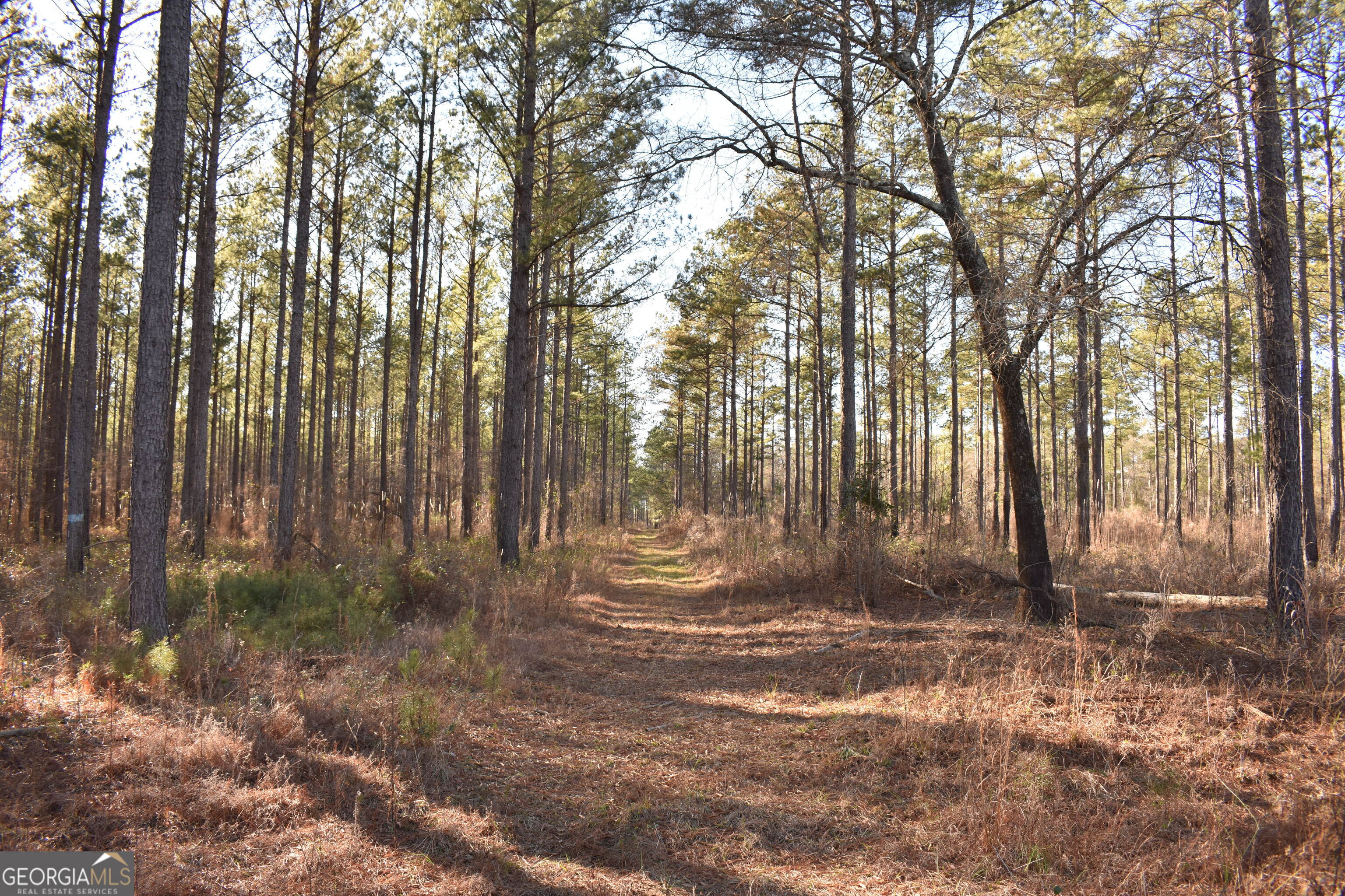0 Bancroft Road Blakely GA 39823