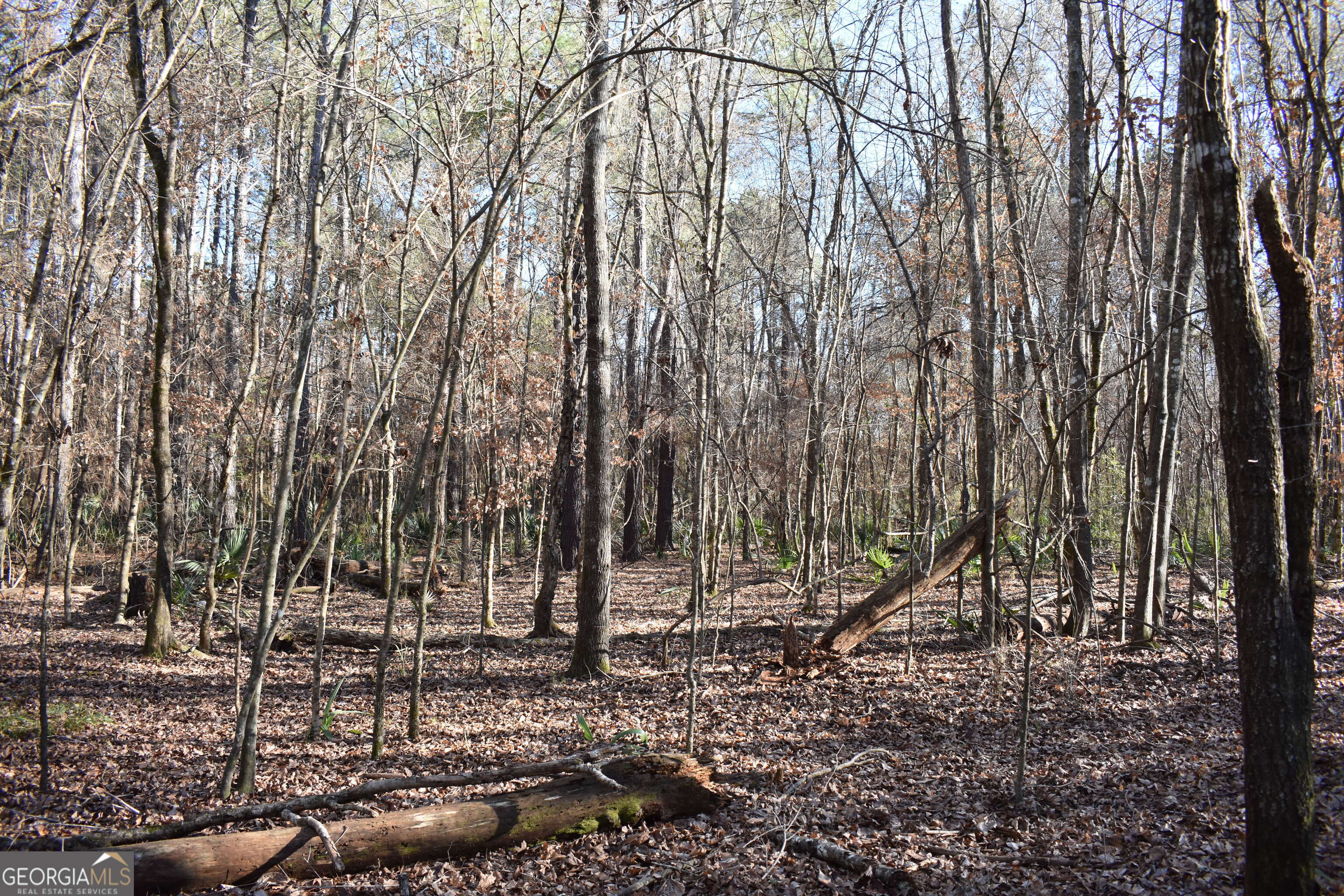 0 Bancroft Road Blakely GA 39823