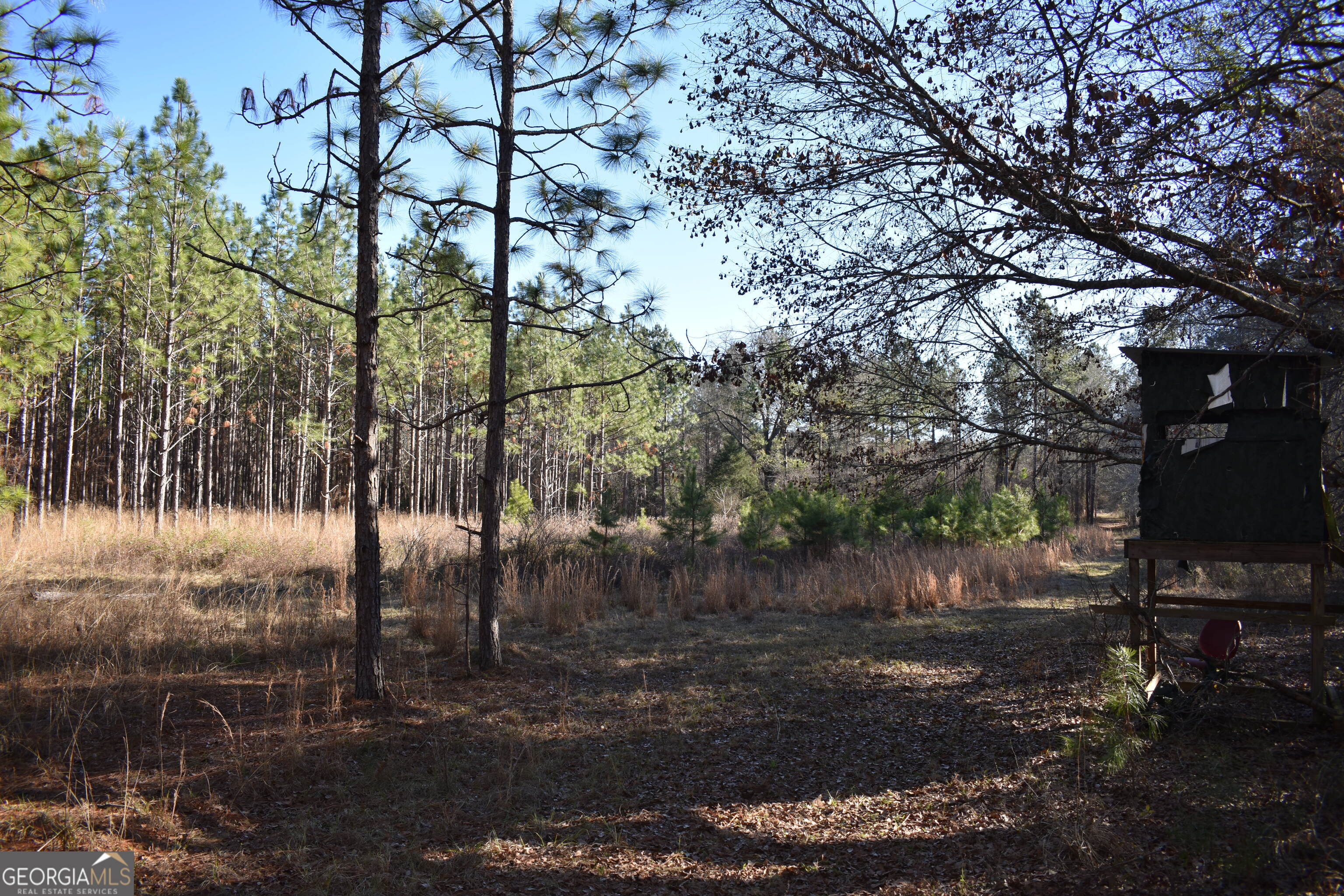 0 Bancroft Road Blakely GA 39823