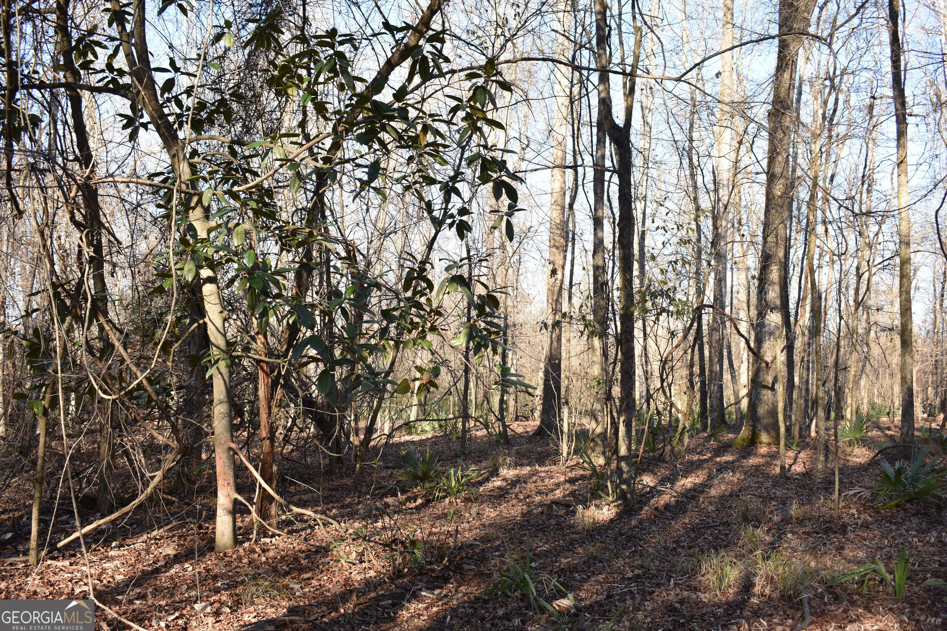 0 Bancroft Road Blakely GA 39823
