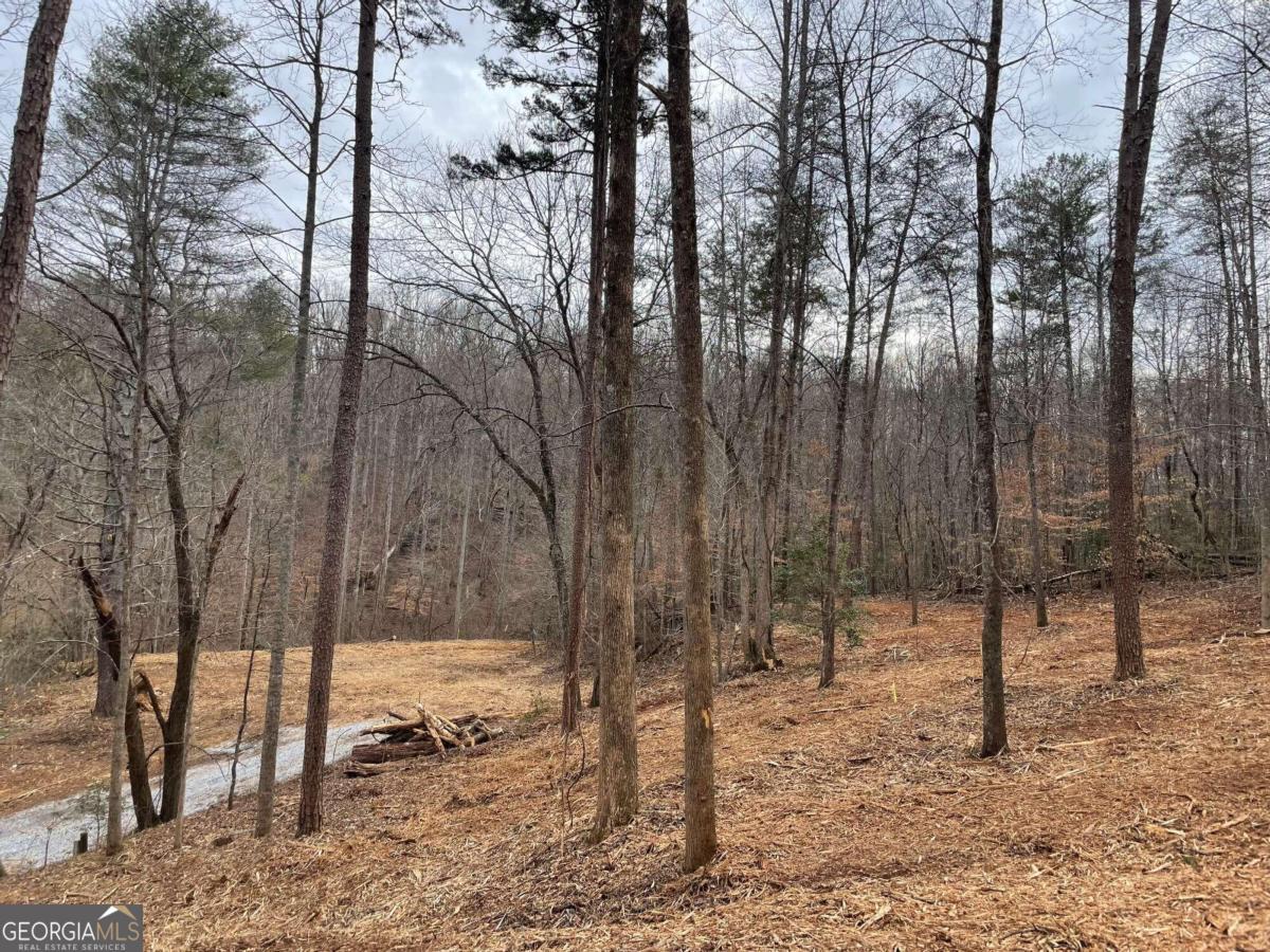287 Archer Way Dahlonega GA 30533