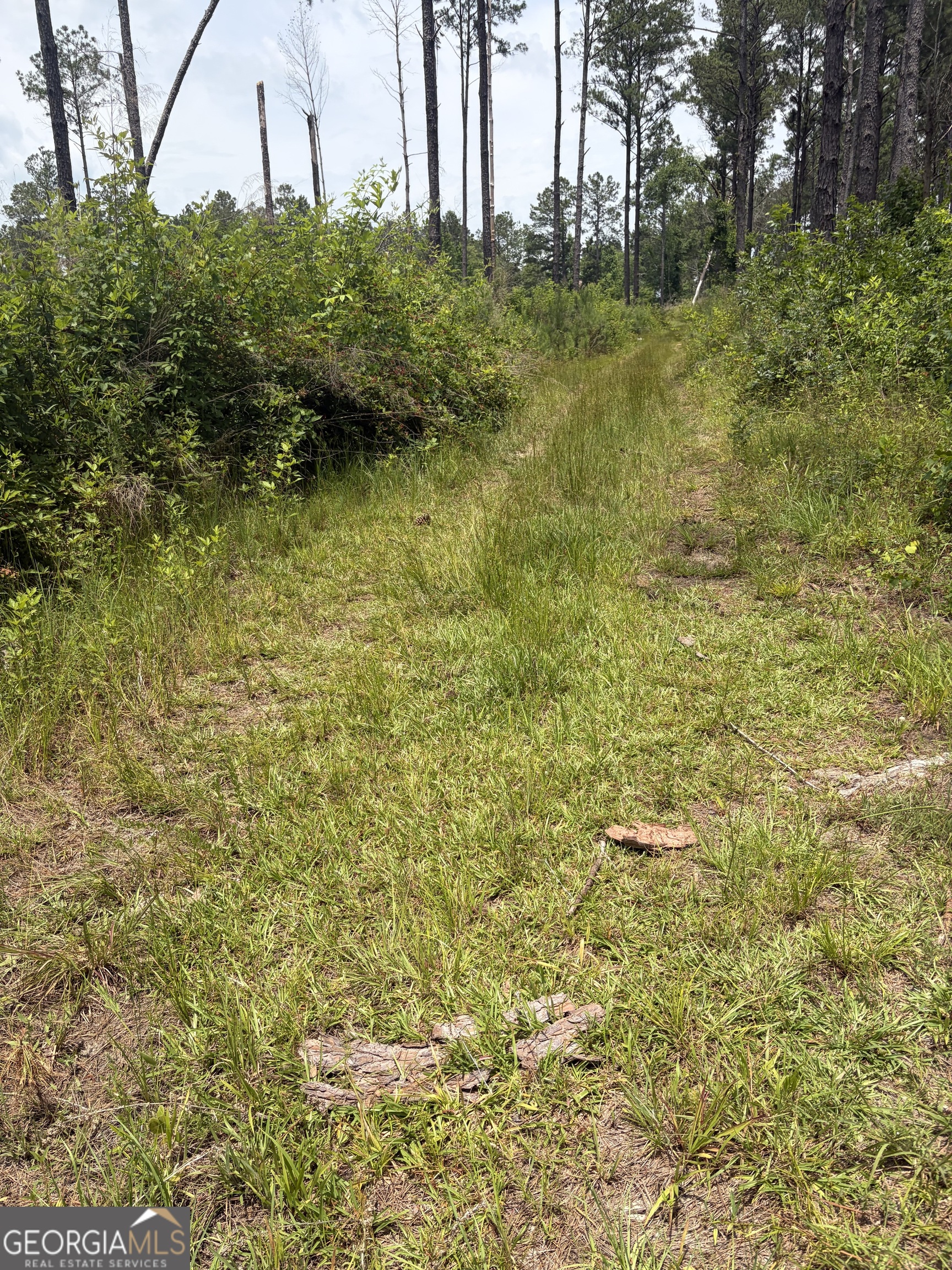 10 Sunhill Grange Road Davisboro GA 31018