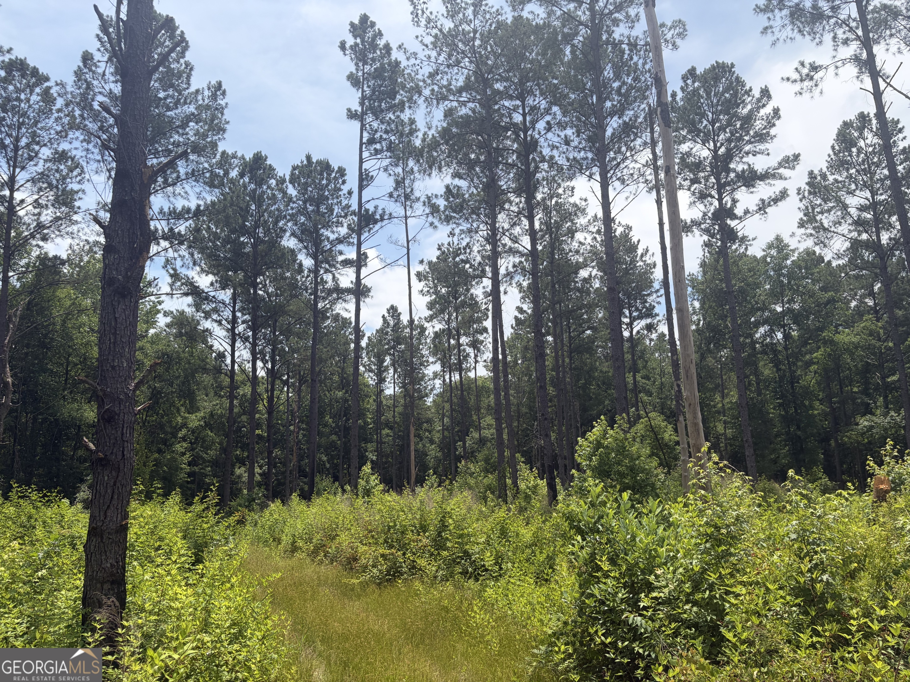 10 Sunhill Grange Road Davisboro GA 31018