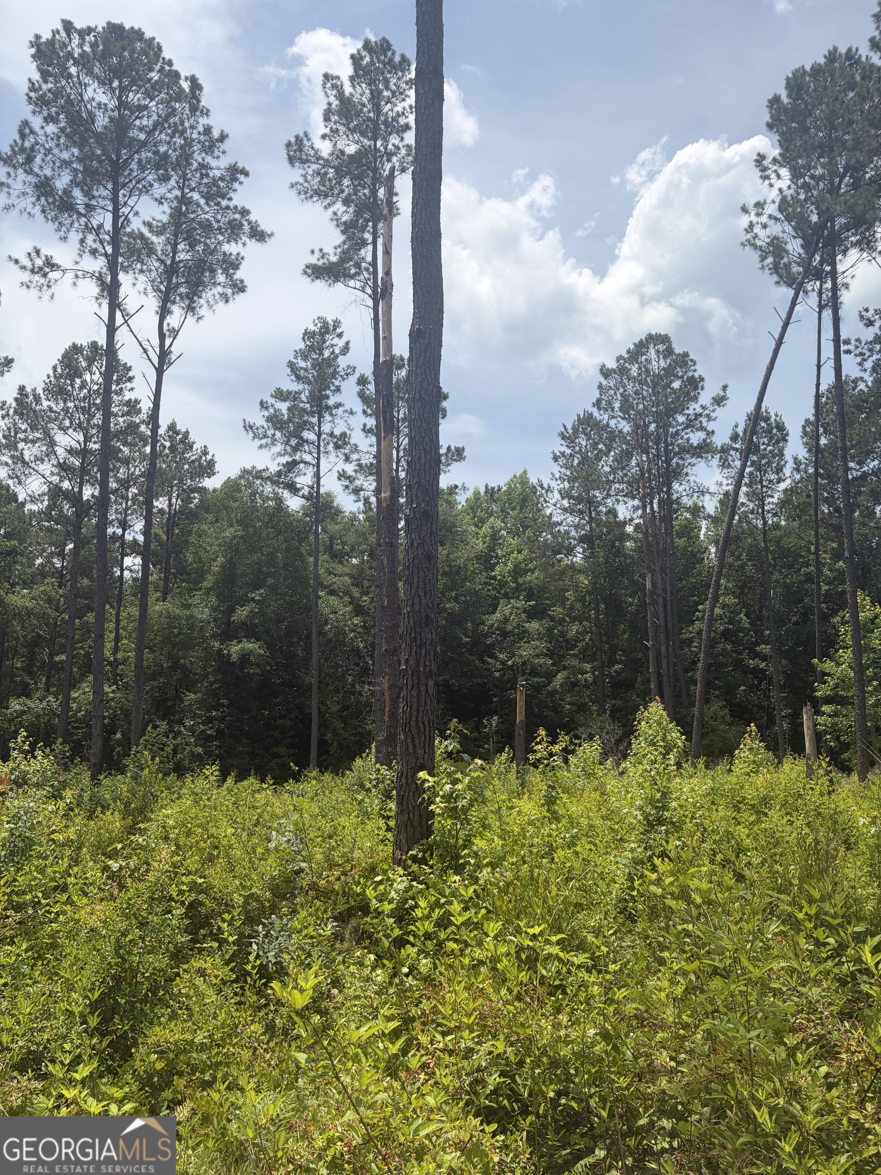 10 Sunhill Grange Road Davisboro GA 31018