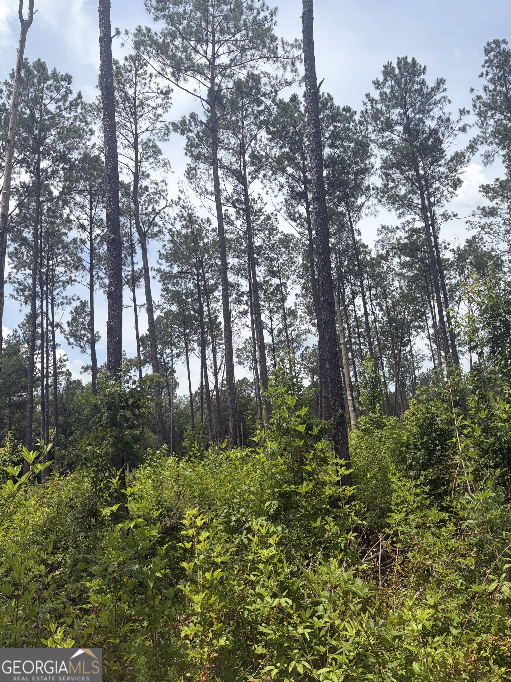 10 Sunhill Grange Road Davisboro GA 31018