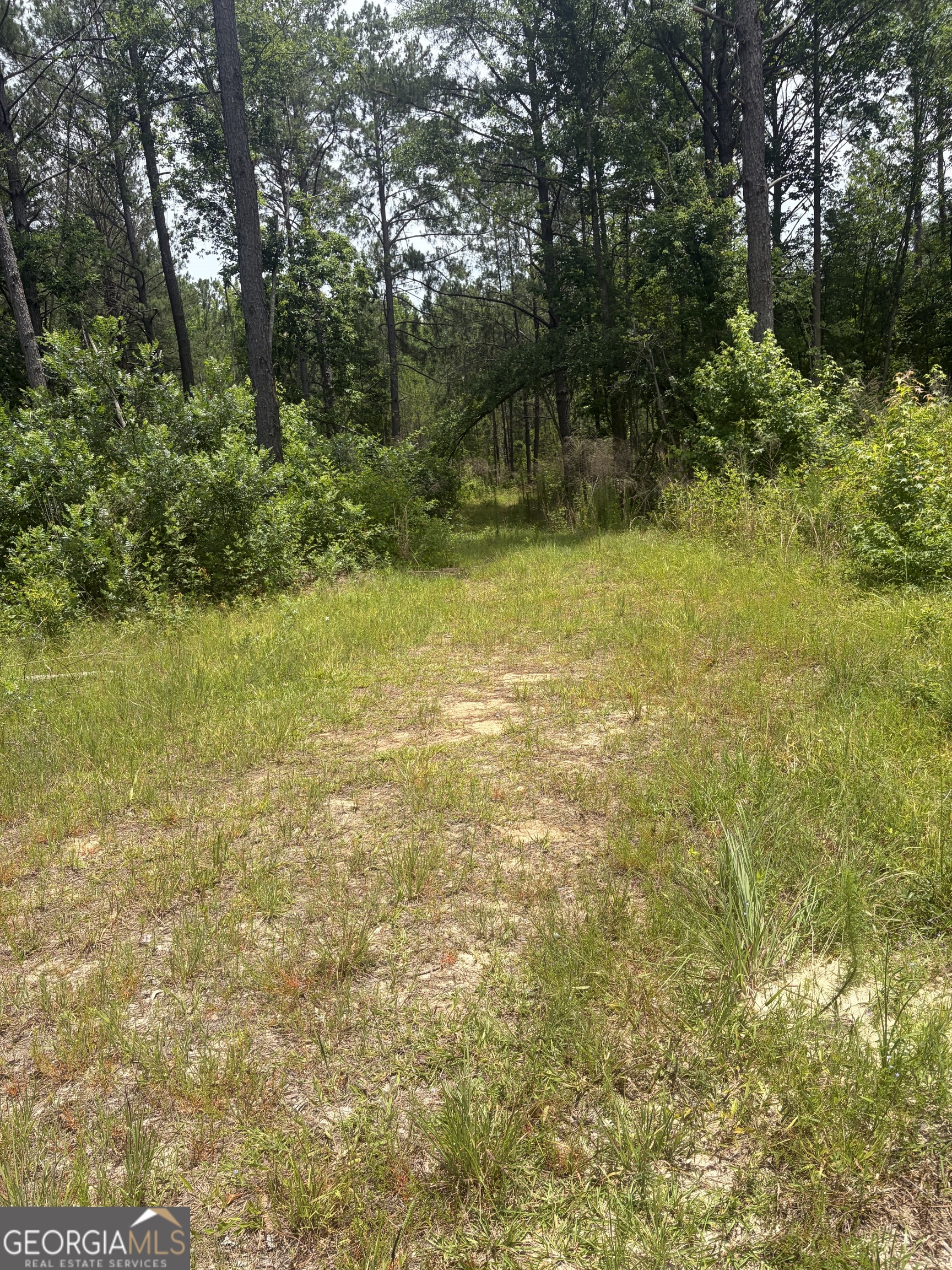 10 Sunhill Grange Road Davisboro GA 31018