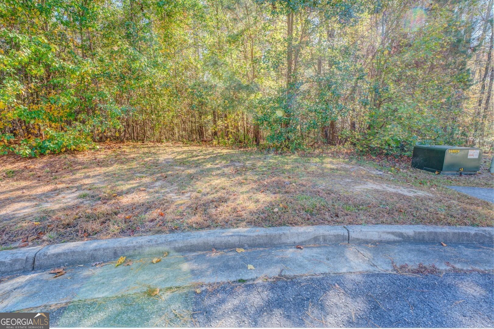 1470 River Station Drive Lawrenceville GA 30045