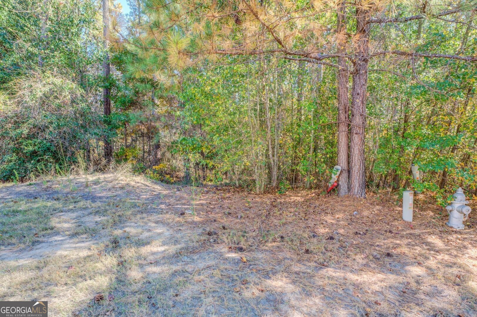 1470 River Station Drive Lawrenceville GA 30045