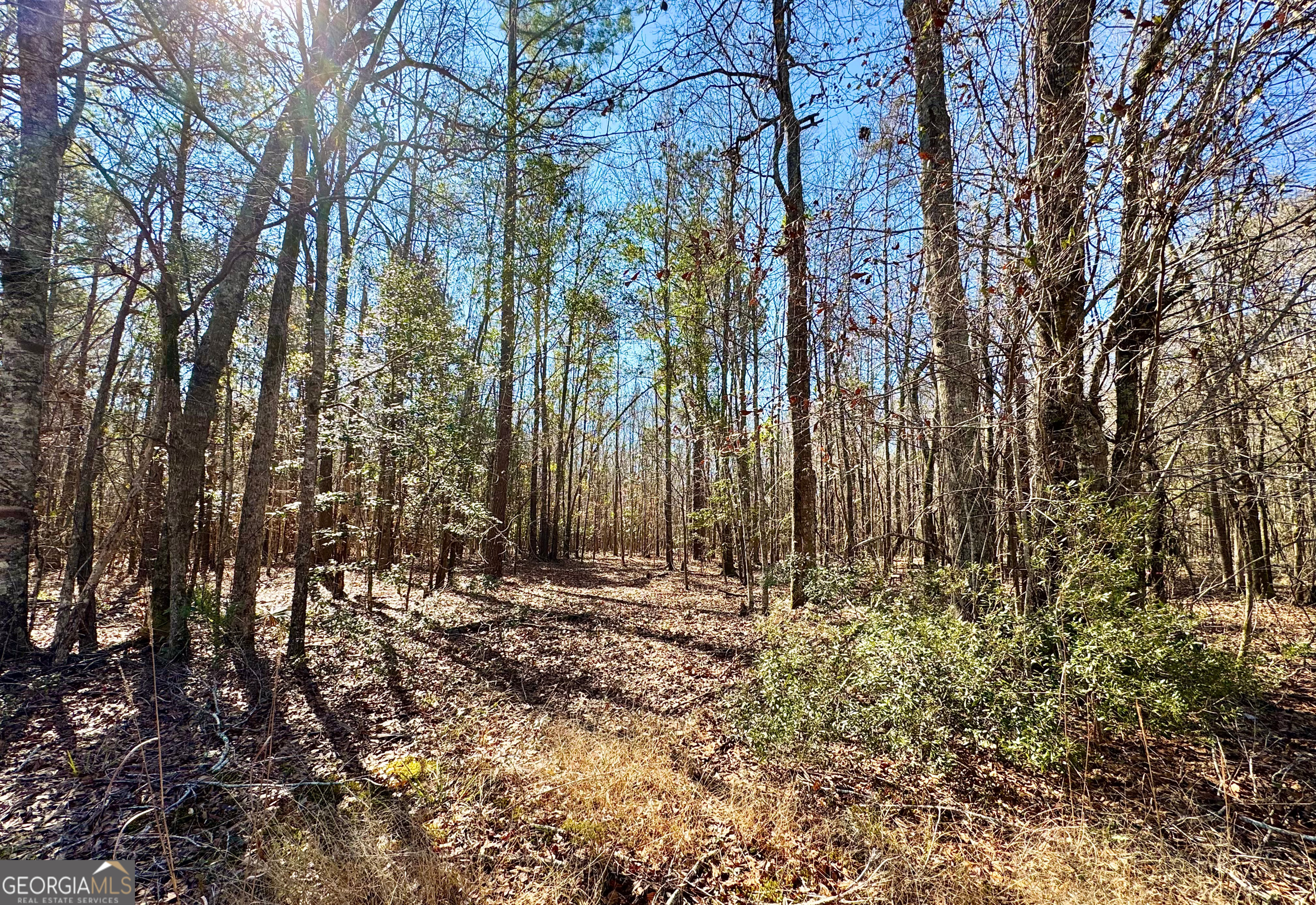 1 Cross Cedar Road Wrightsville GA 31096