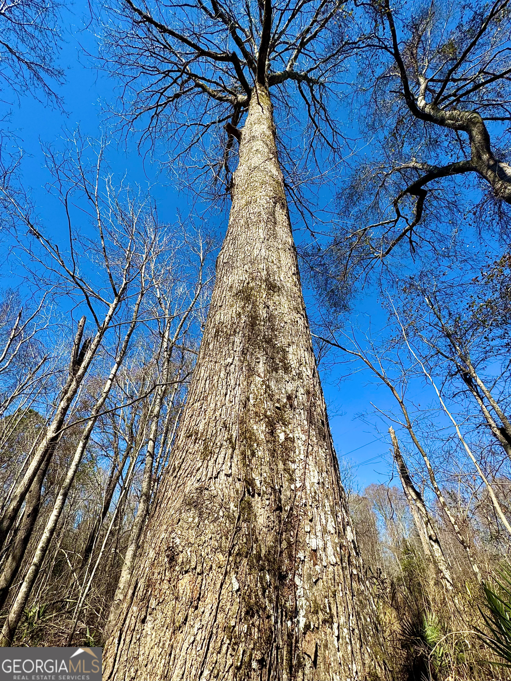 1 Cross Cedar Road Wrightsville GA 31096