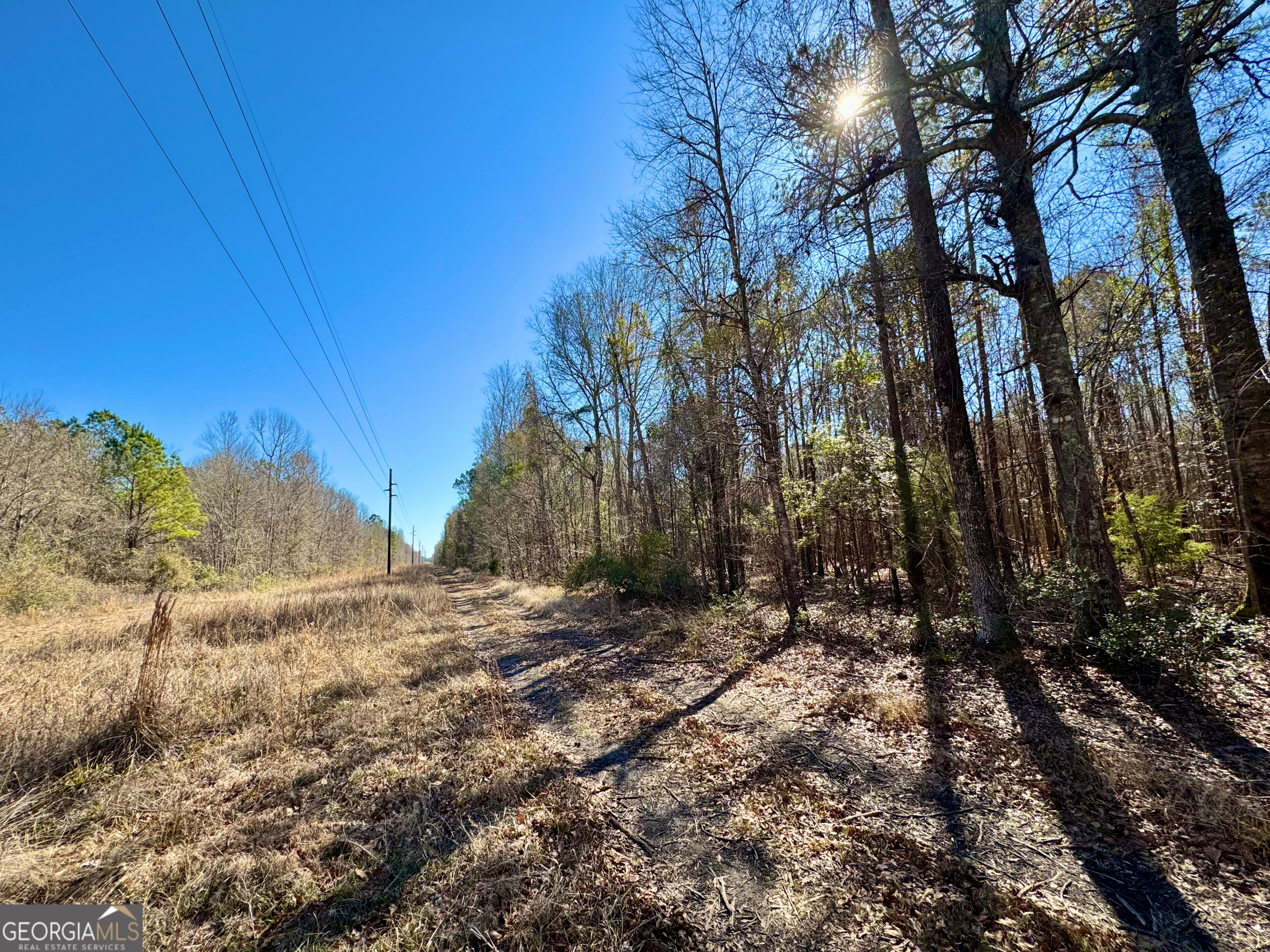 1 Cross Cedar Road Wrightsville GA 31096