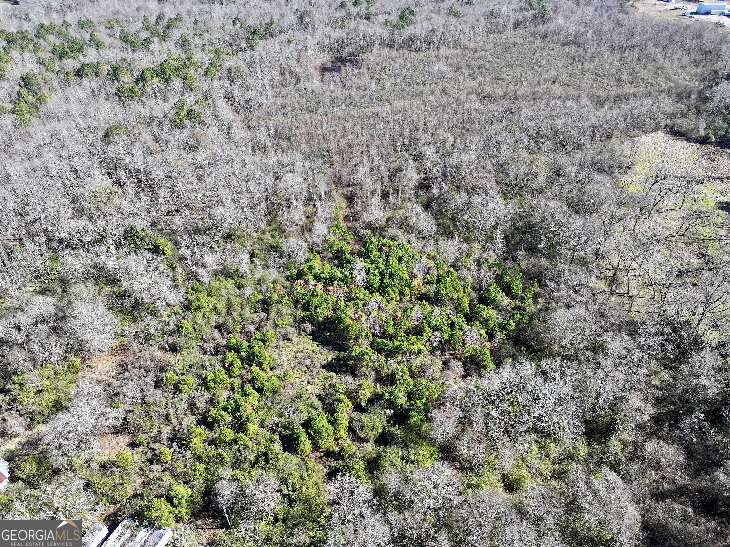 1 Cross Cedar Road Wrightsville GA 31096