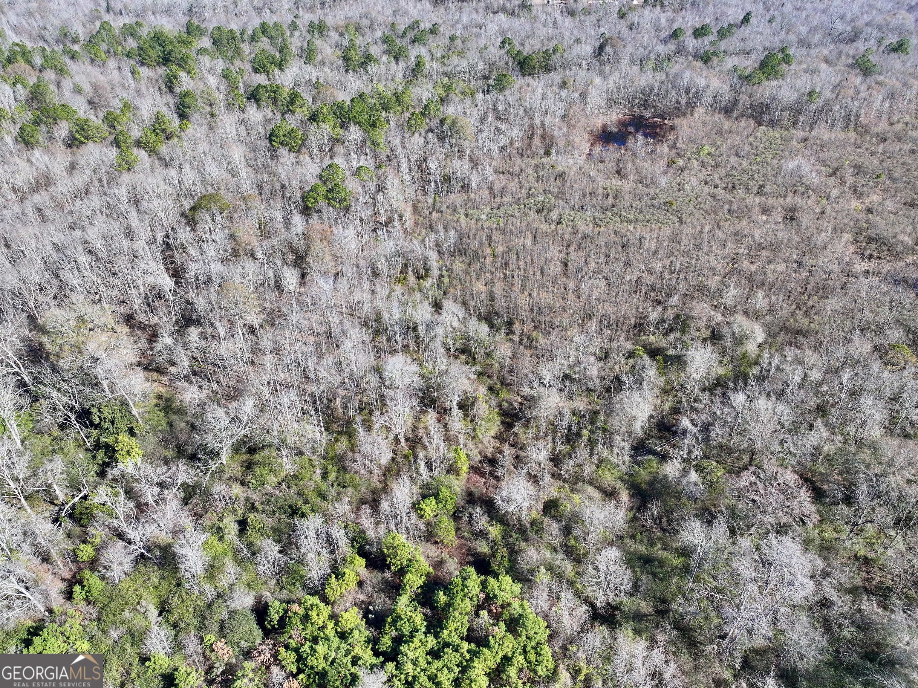 1 Cross Cedar Road Wrightsville GA 31096