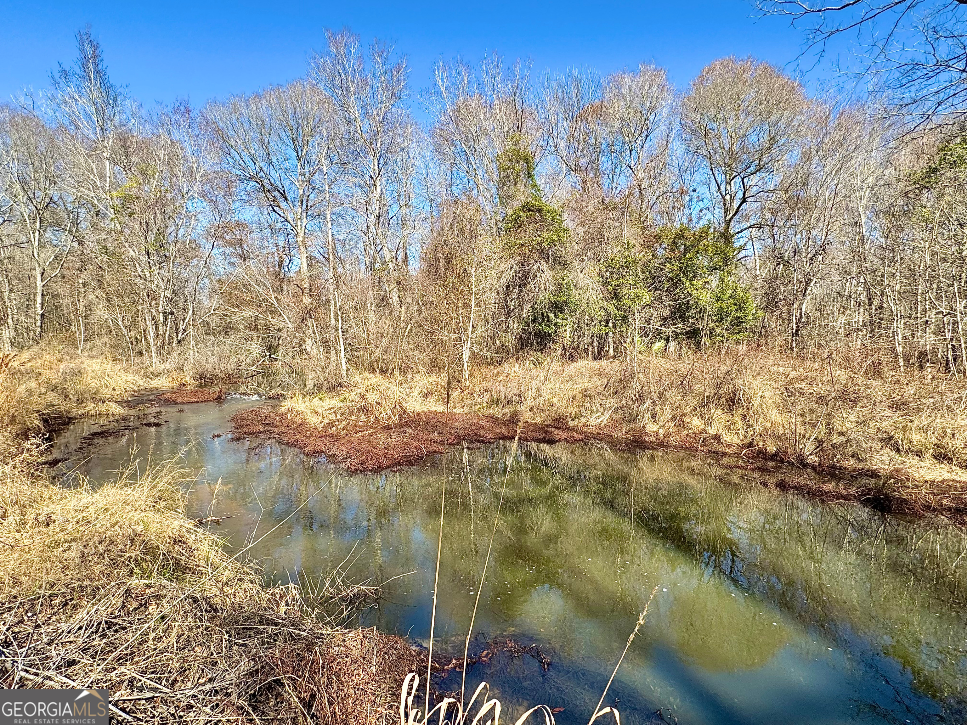 1 Cross Cedar Road Wrightsville GA 31096