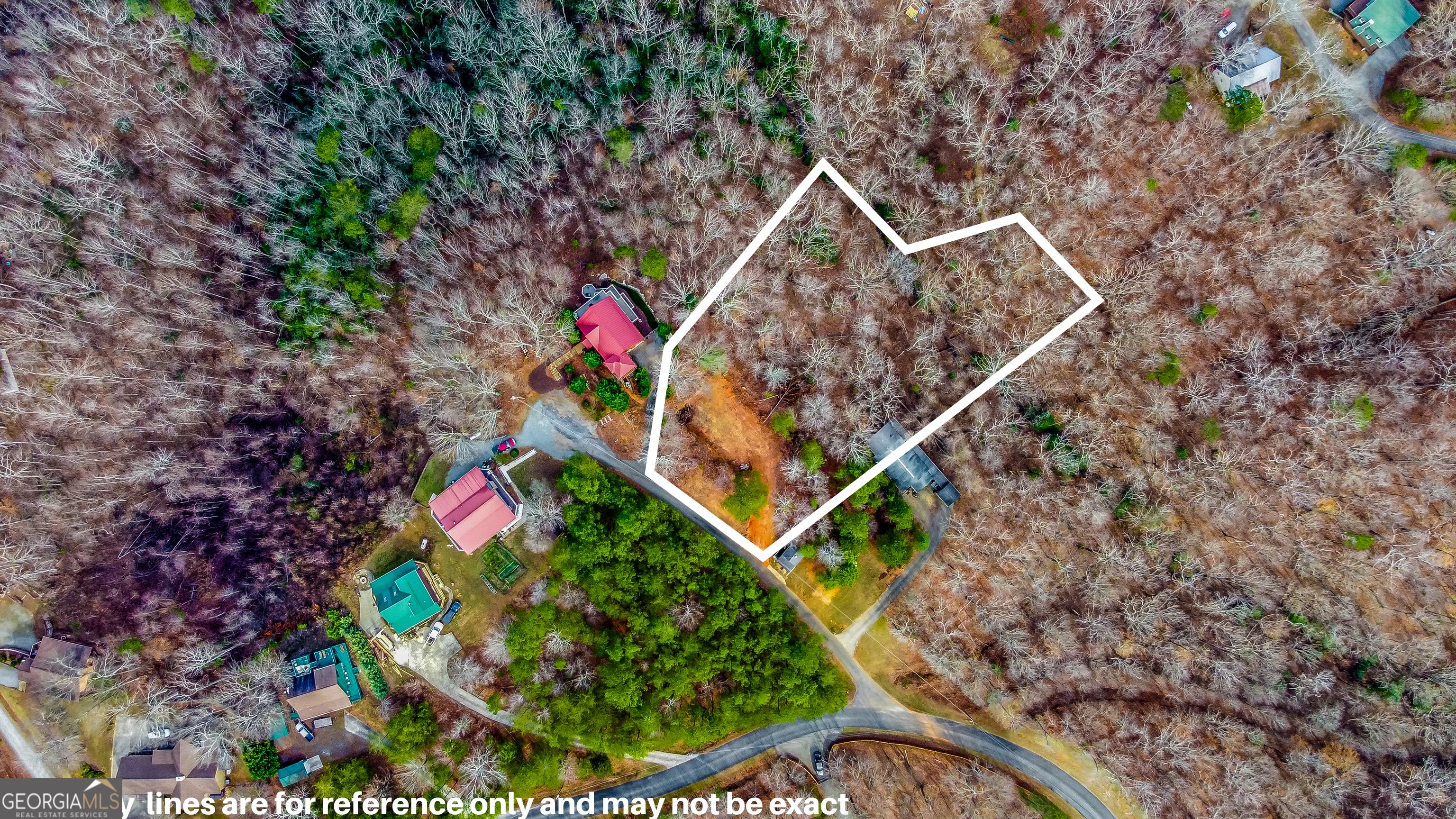 30 William Way Ellijay GA 30540
