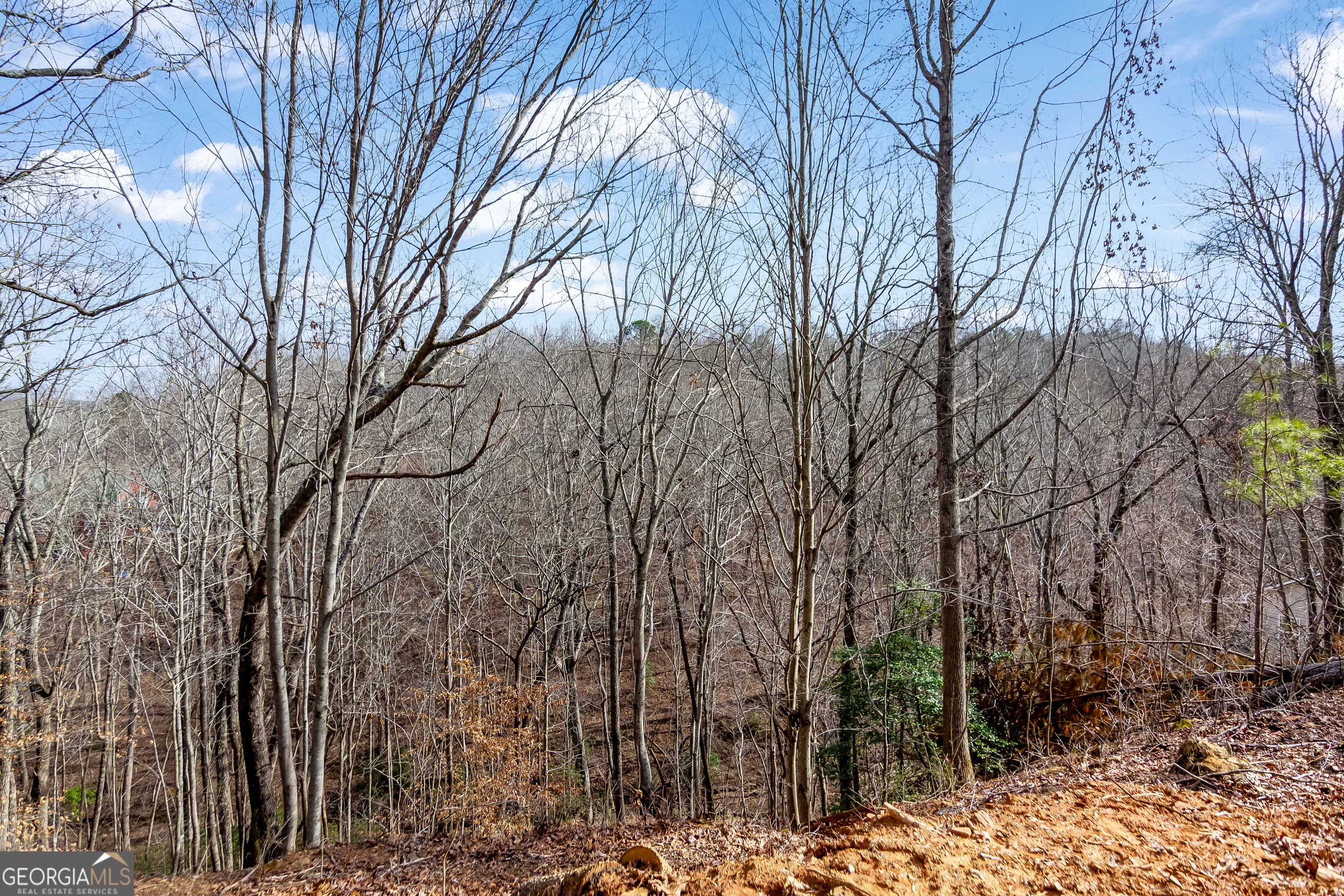 30 William Way Ellijay GA 30540
