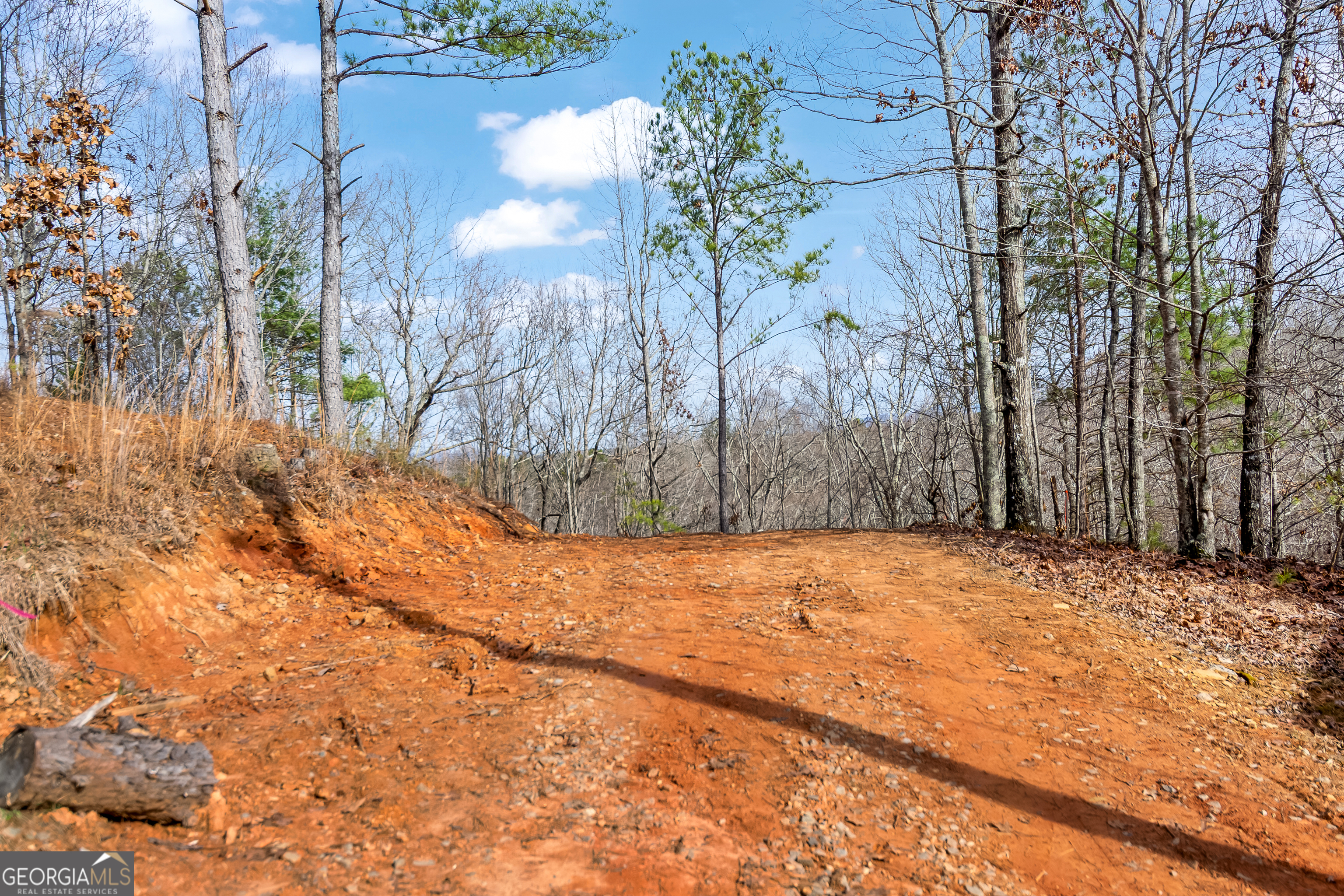 30 William Way Ellijay GA 30540