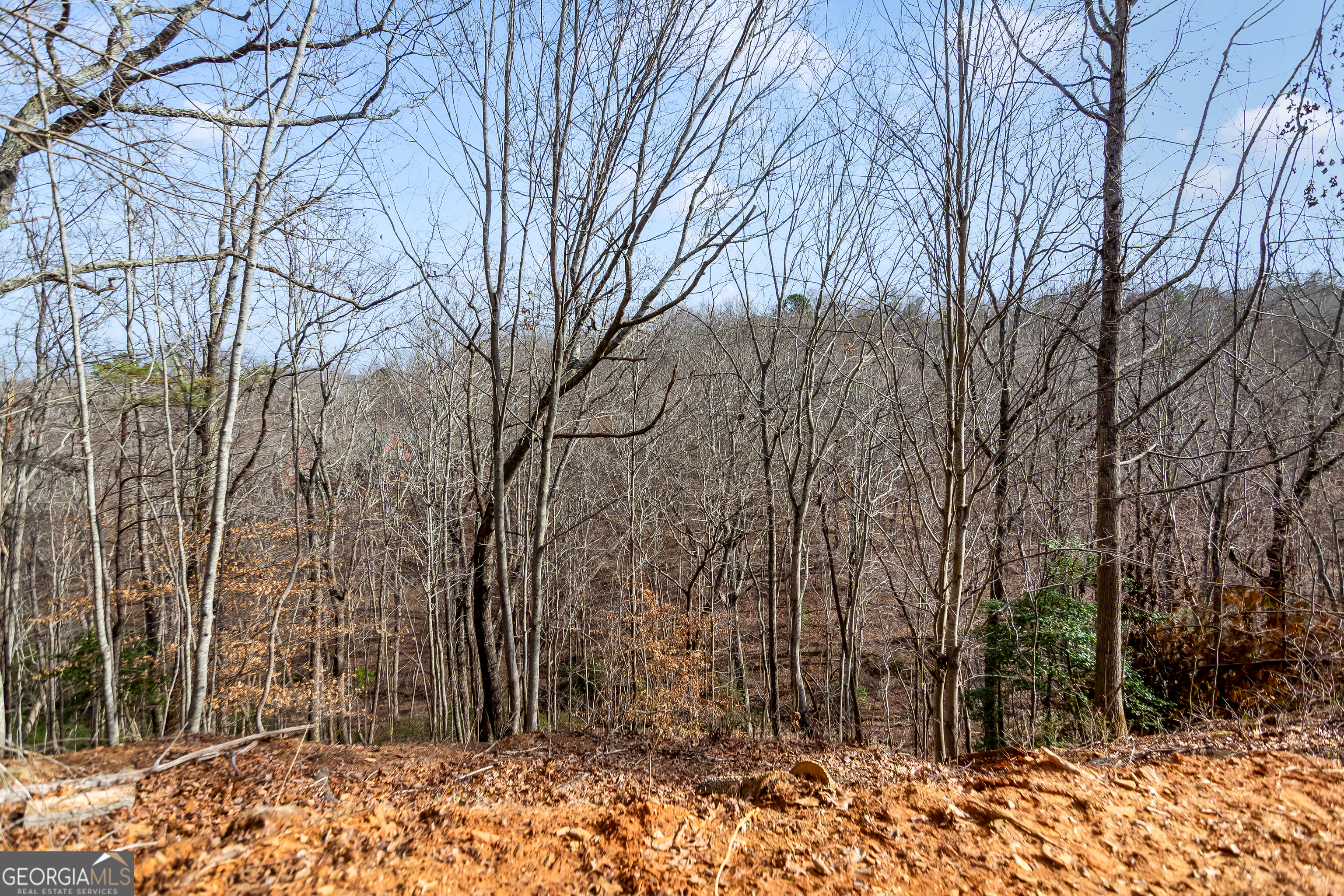 30 William Way Ellijay GA 30540