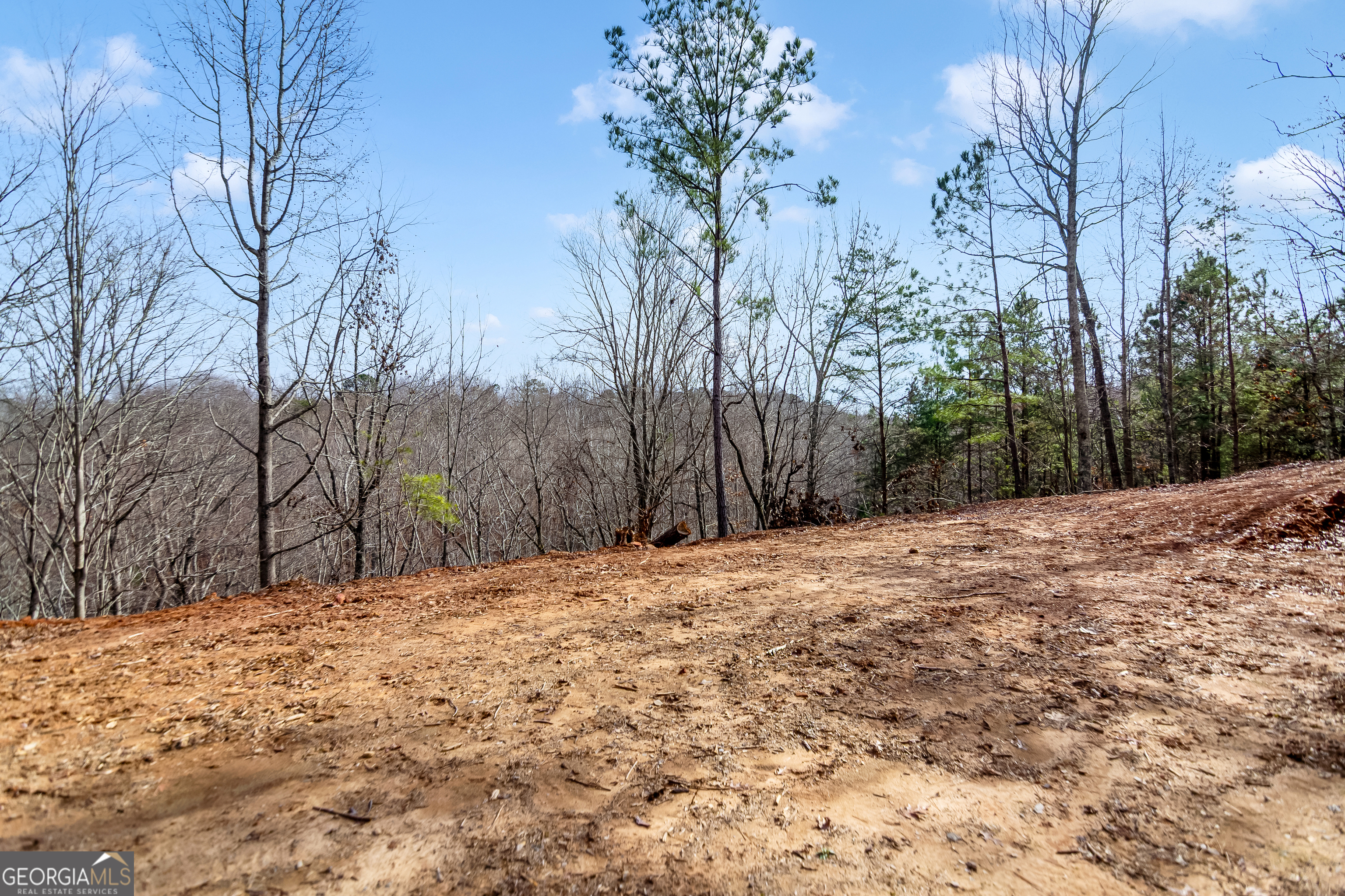 30 William Way Ellijay GA 30540