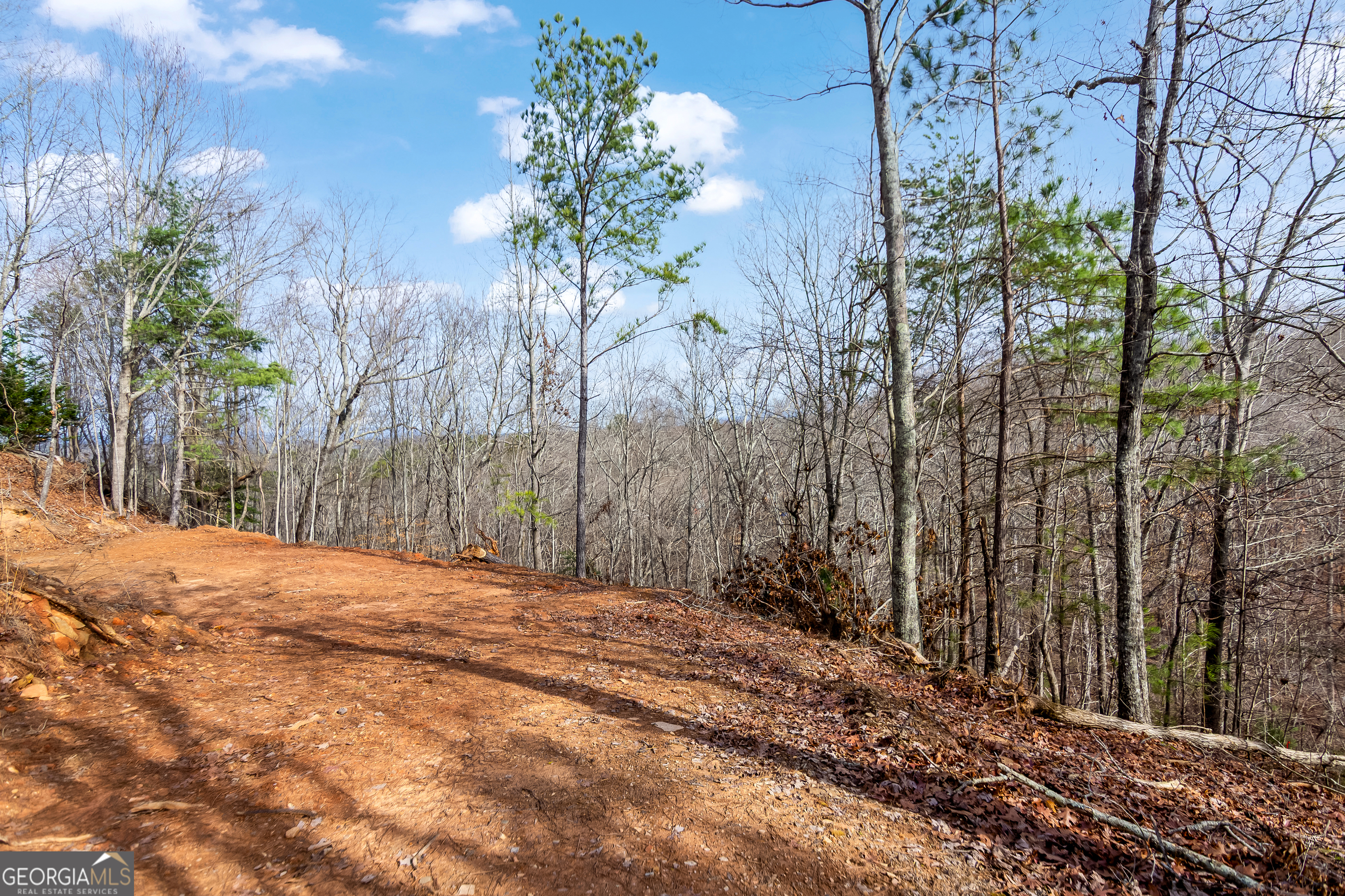 30 William Way Ellijay GA 30540