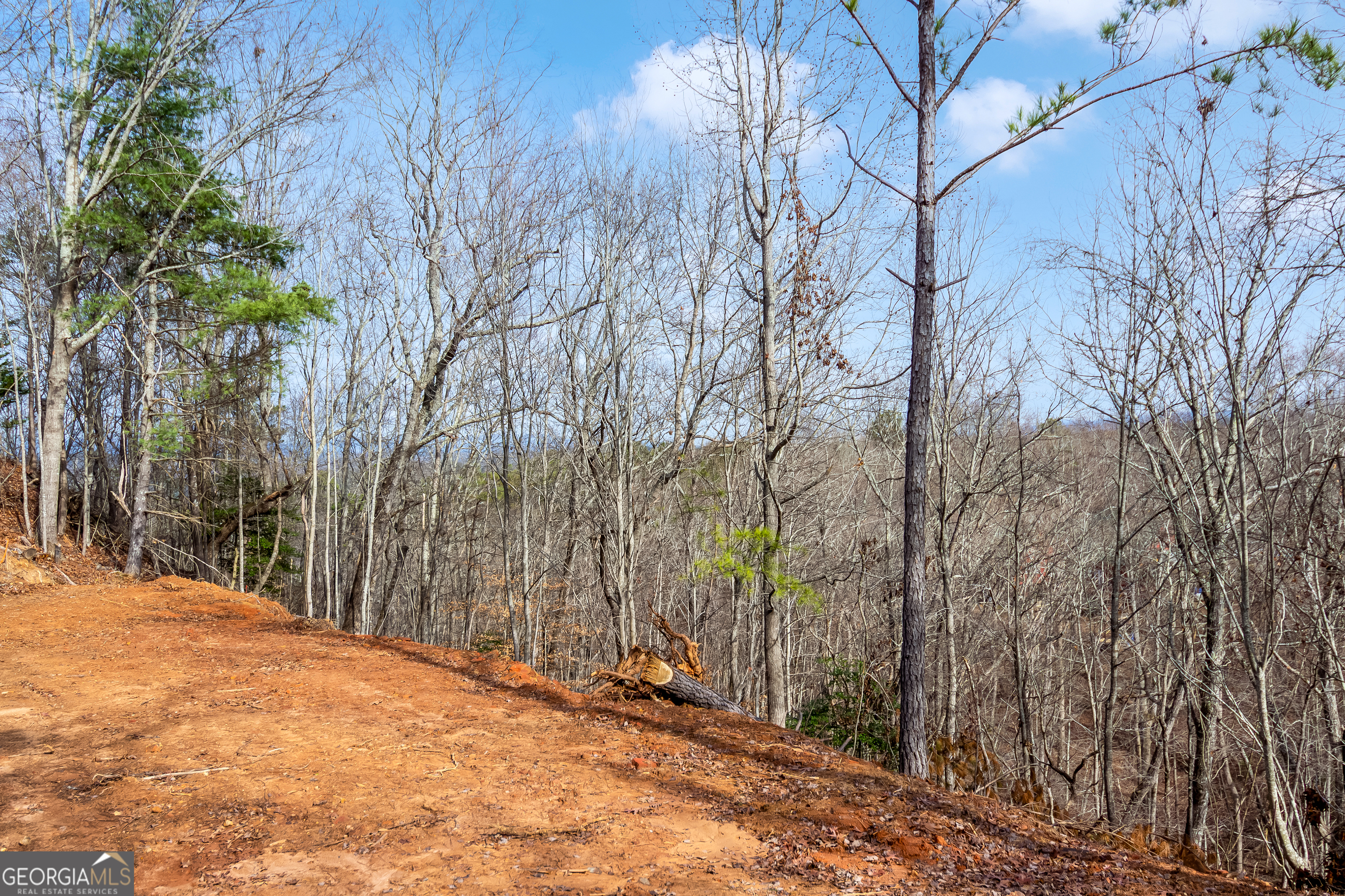 30 William Way Ellijay GA 30540