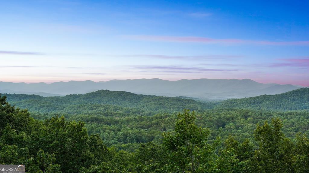Lt 720 Morton Drive Ellijay GA 30540
