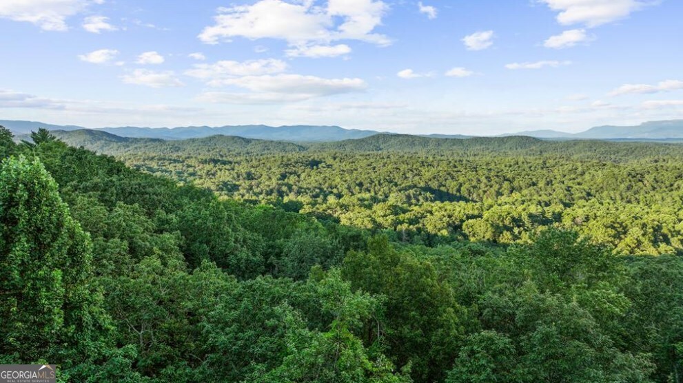 Lt 720 Morton Drive Ellijay GA 30540