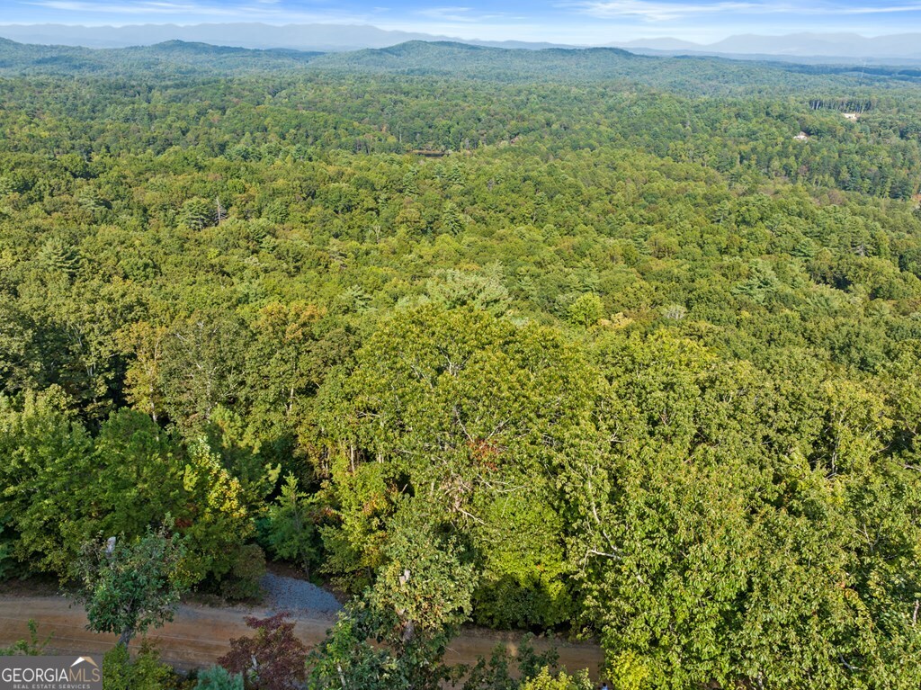 Lt 720 Morton Drive Ellijay GA 30540