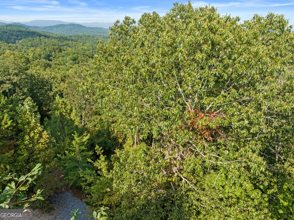 Lt 720 Morton Drive Ellijay GA 30540