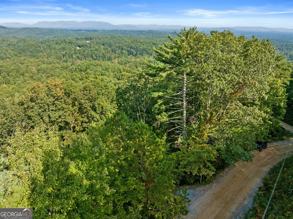 Lt 720 Morton Drive Ellijay GA 30540