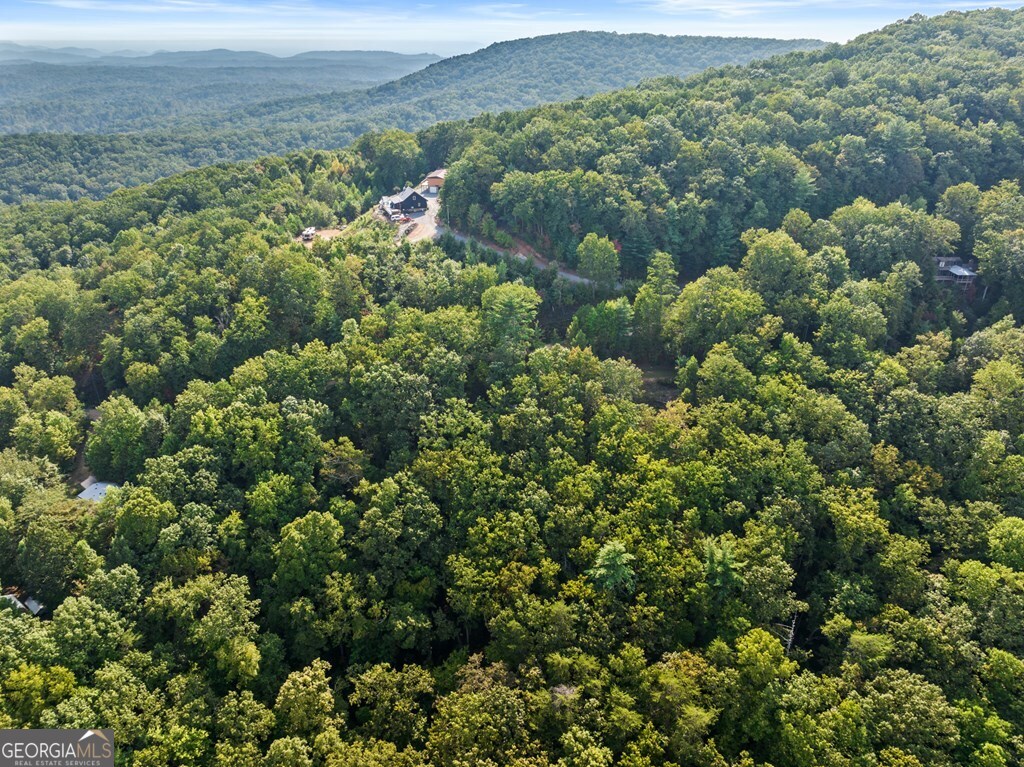 Lt 720 Morton Drive Ellijay GA 30540