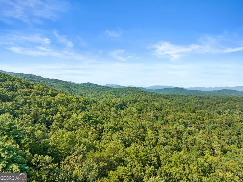 Lt 720 Morton Drive Ellijay GA 30540