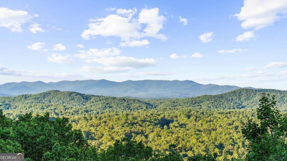 Lt 720 Morton Drive Ellijay GA 30540
